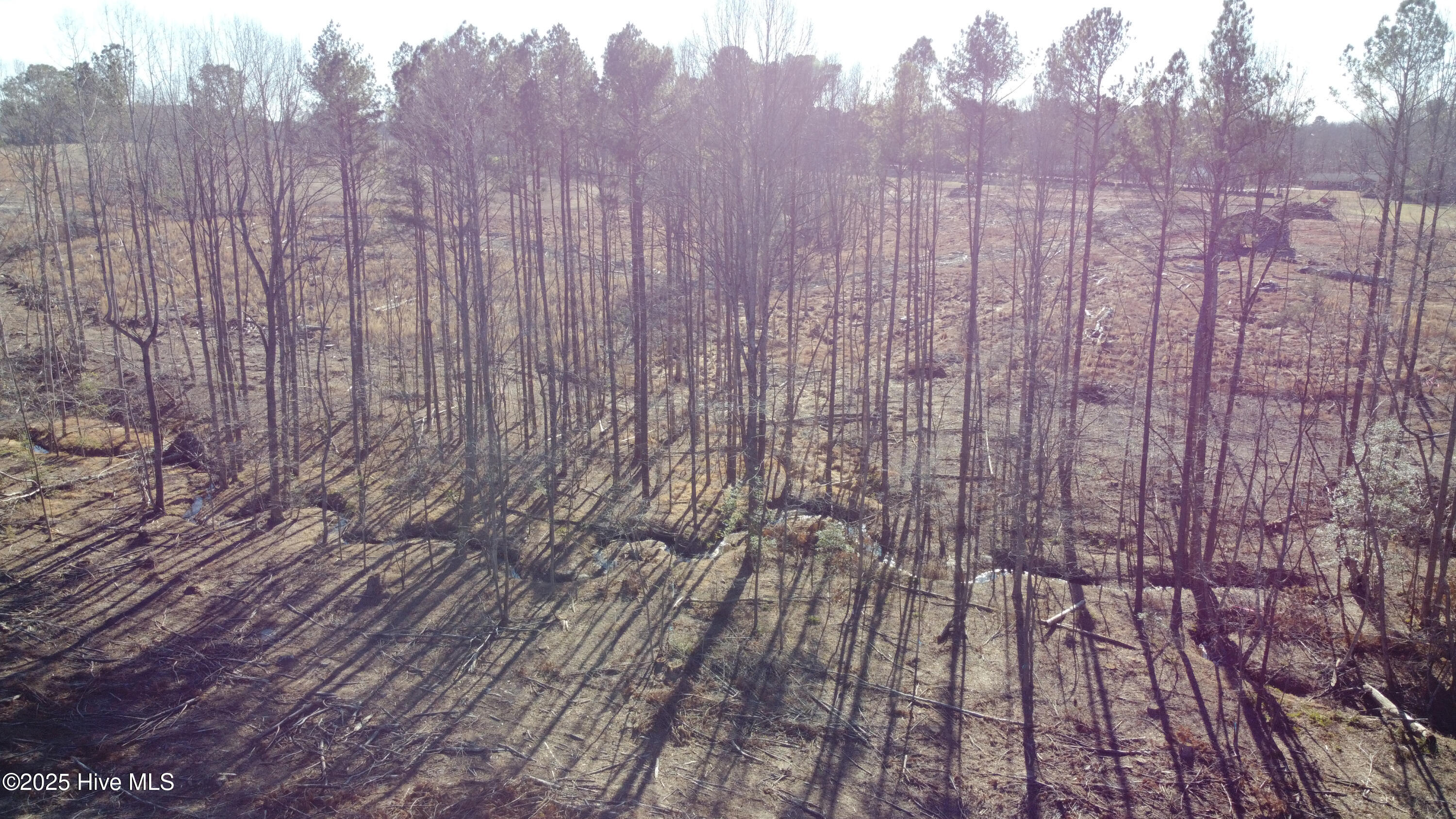 8501 Edwards Road Castalia, NC 27816 - Photo 16 of 31 DJI_0749 copy