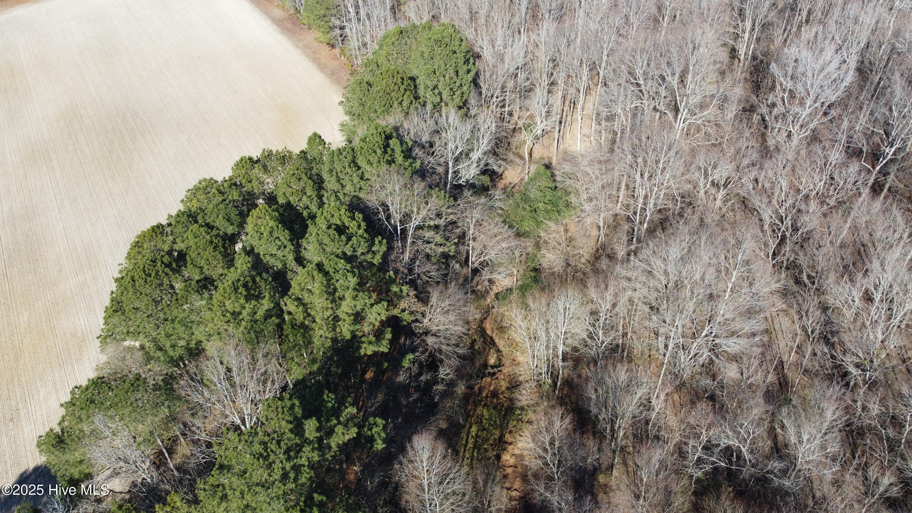 8501 Edwards Road Castalia, NC 27816 - Photo 18 of 31 DJI_0751 copy