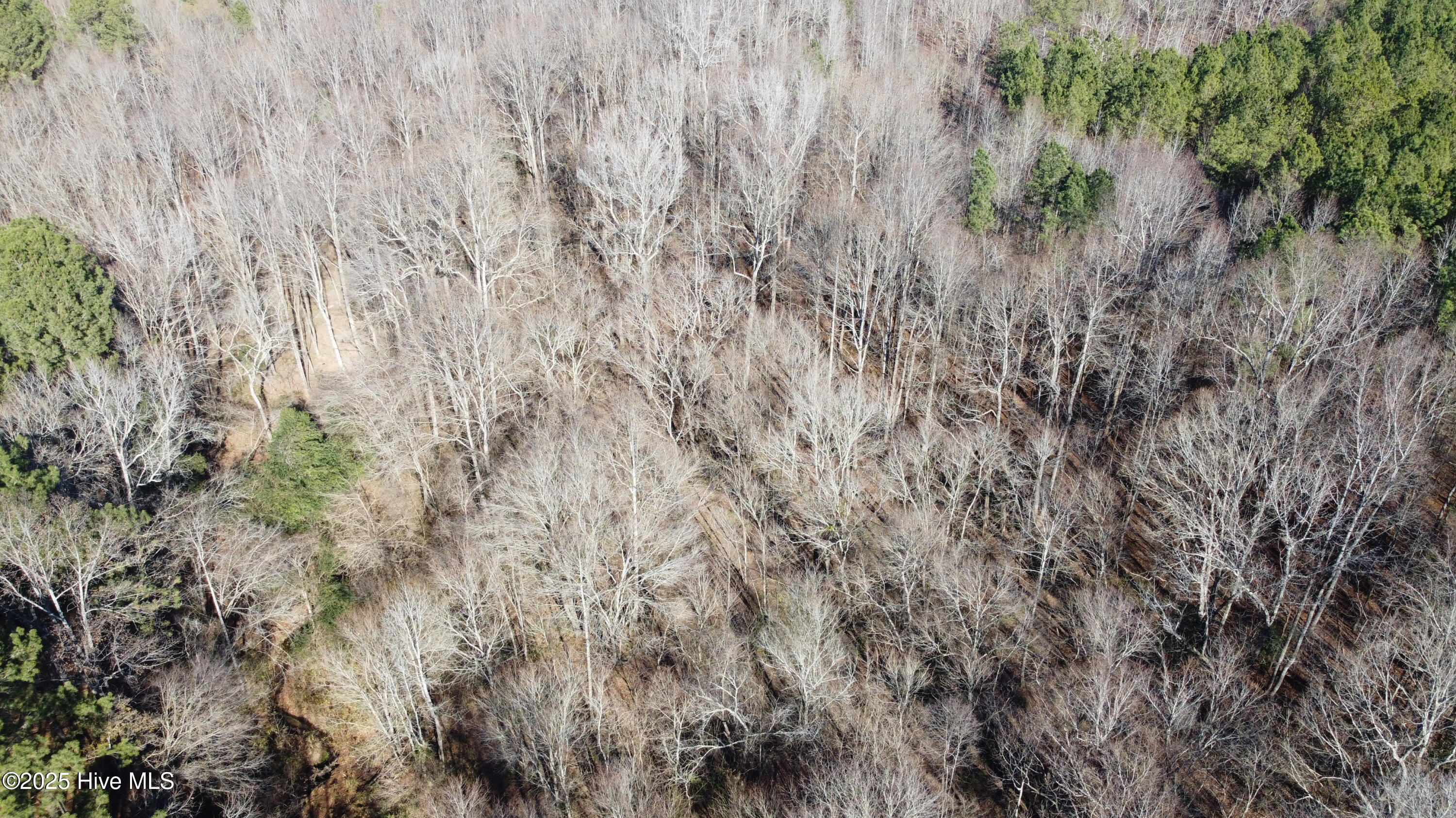 8501 Edwards Road Castalia, NC 27816 - Photo 19 of 31 DJI_0752 copy