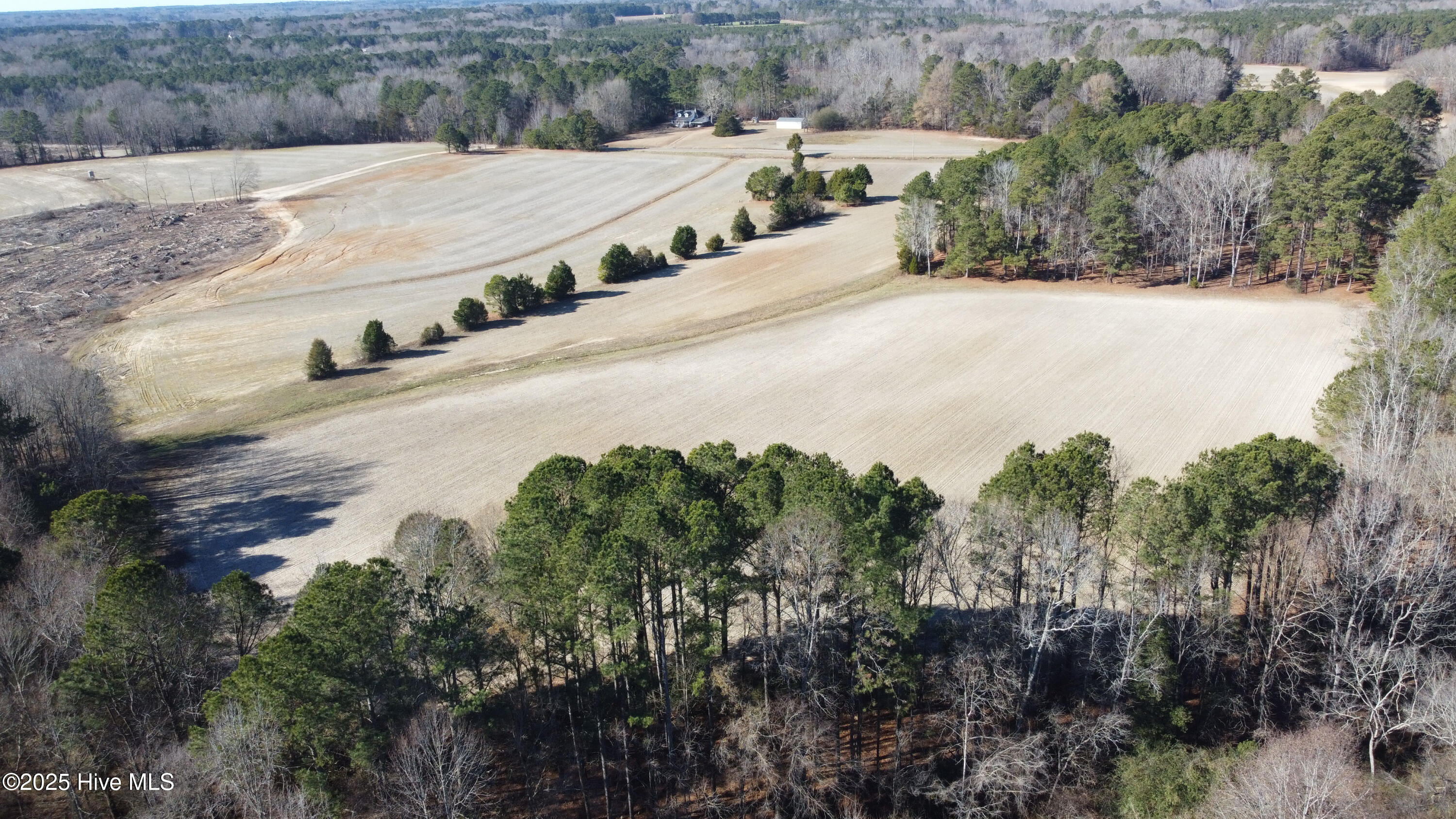 8501 Edwards Road Castalia, NC 27816 - Photo 20 of 31 DJI_0753 copy