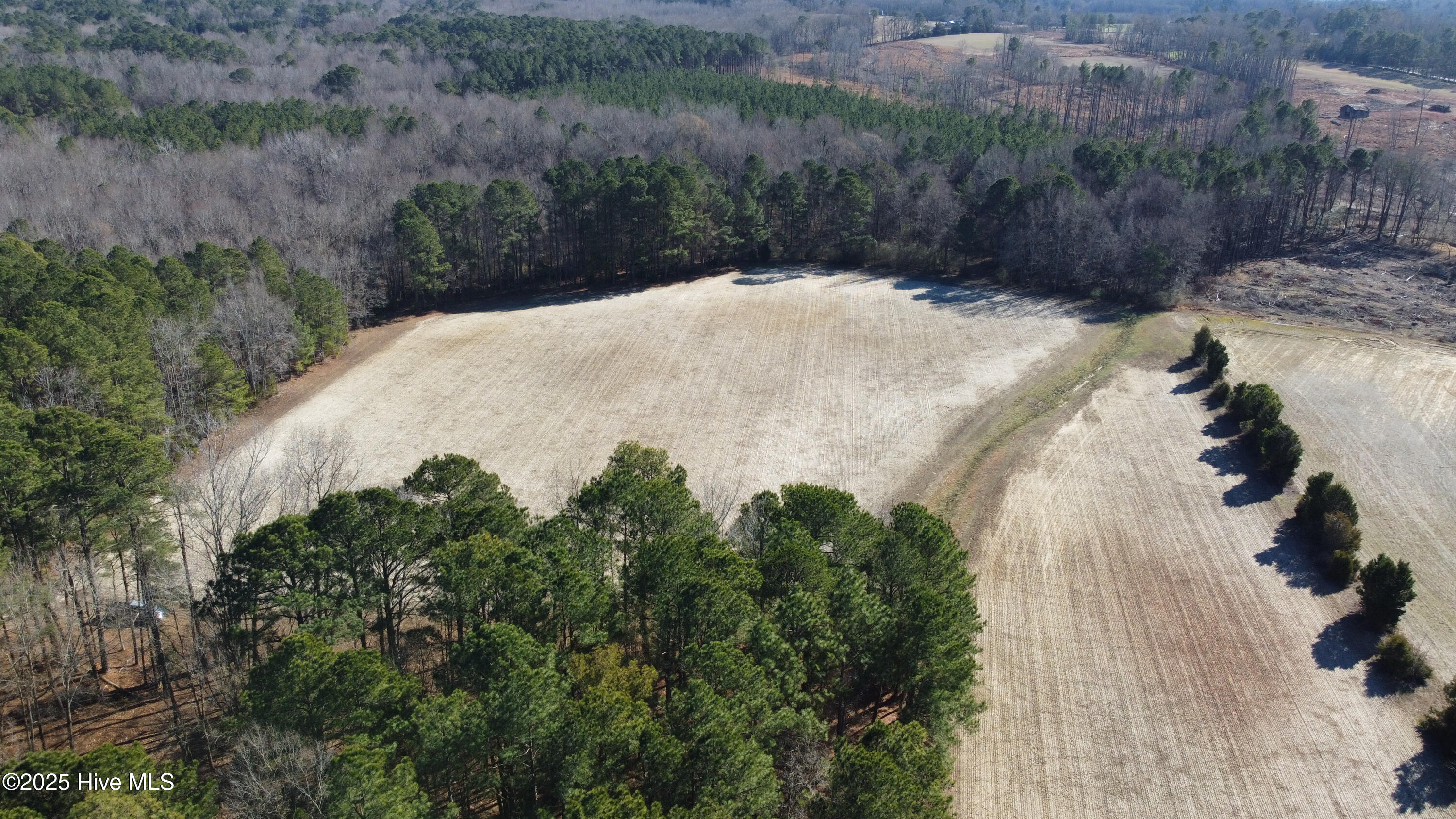 8501 Edwards Road Castalia, NC 27816 - Photo 21 of 31 DJI_0755 copy