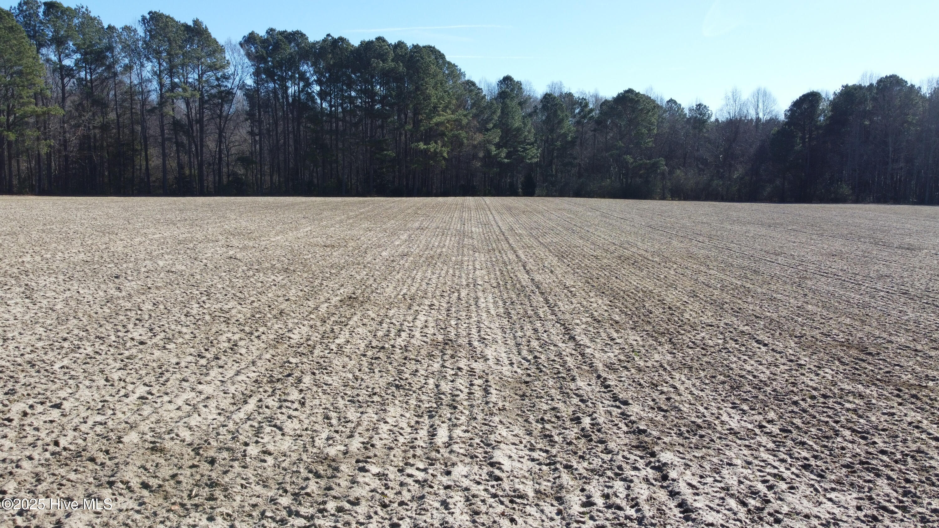 8501 Edwards Road Castalia, NC 27816 - Photo 25 of 31 DJI_0761 copy