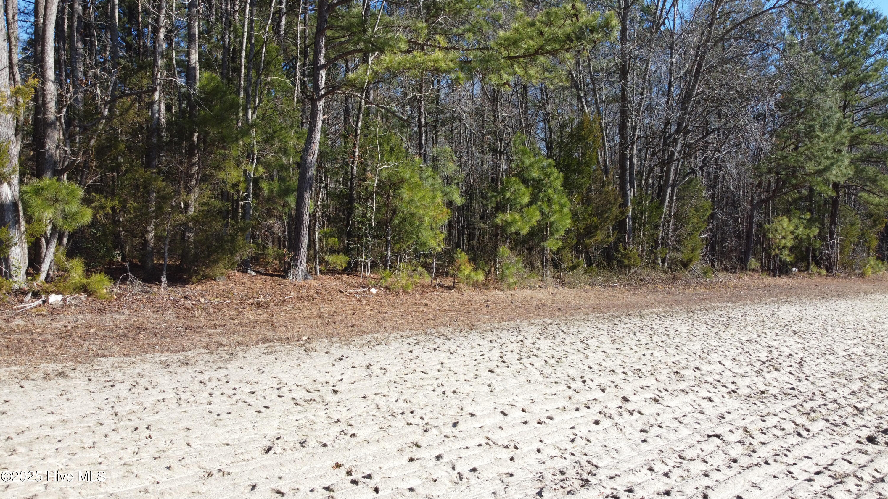 8501 Edwards Road Castalia, NC 27816 - Photo 28 of 31 DJI_0764 copy