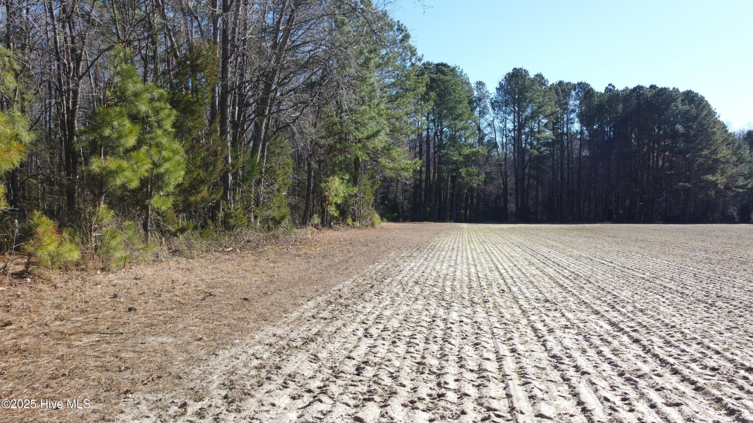 8501 Edwards Road Castalia, NC 27816 - Photo 29 of 31 DJI_0765 copy