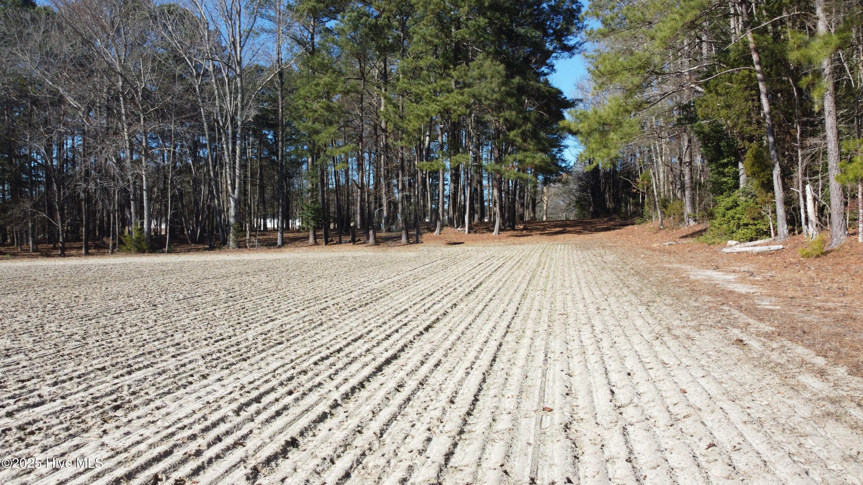 8501 Edwards Road Castalia, NC 27816 - Photo 30 of 31 DJI_0766 copy