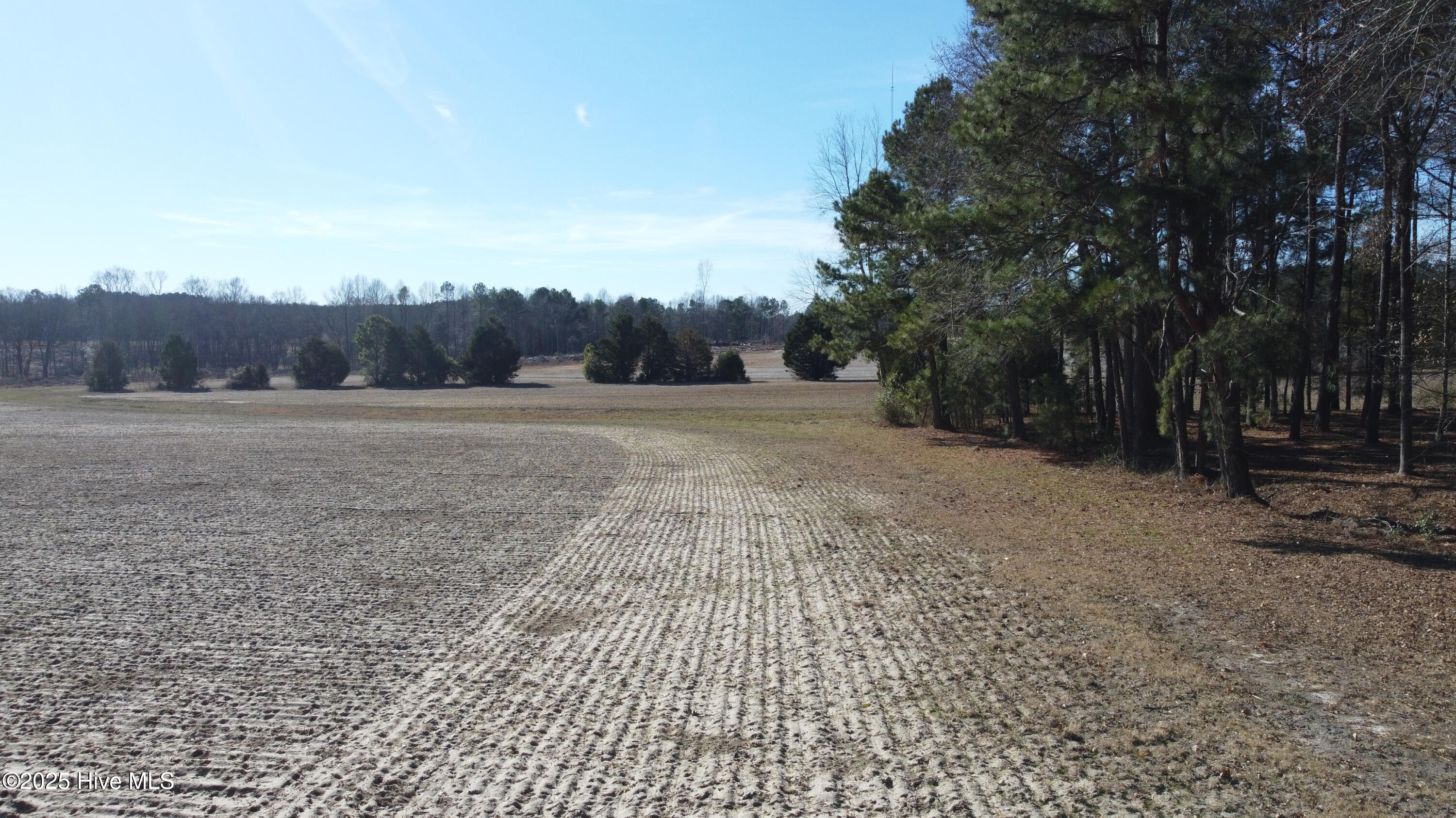 8501 Edwards Road Castalia, NC 27816 - Photo 6 of 31 DJI_0724 copy