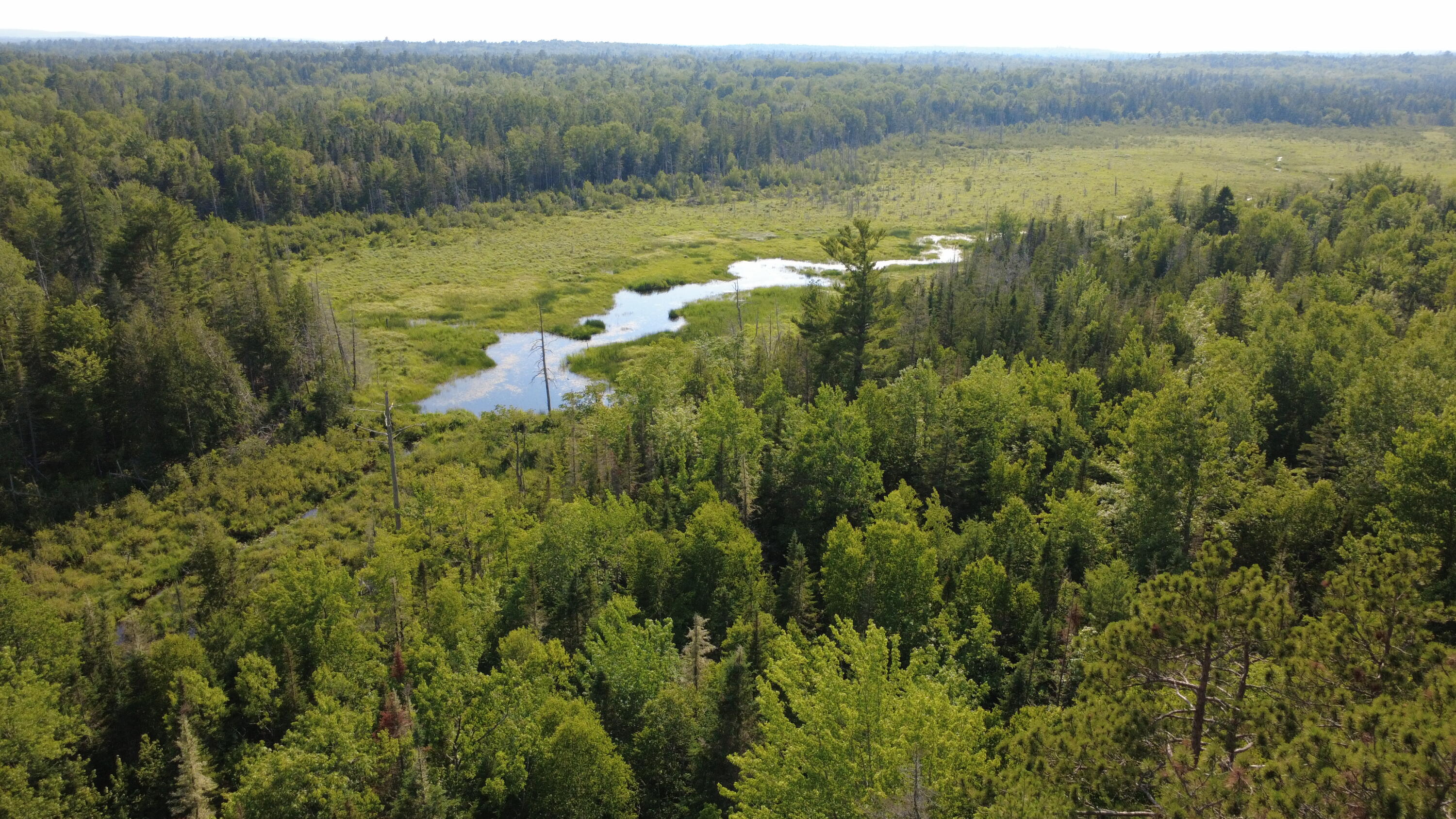 162 Ayers Junction Road Pembroke, ME 04666 - Photo 42 of 42 DJI_0179