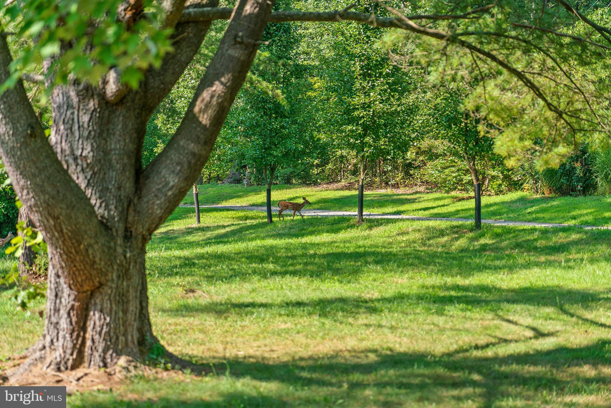7437 Leeds Manor Road Marshall, VA 20115 - Photo 42 of 43 Gallery Image 42