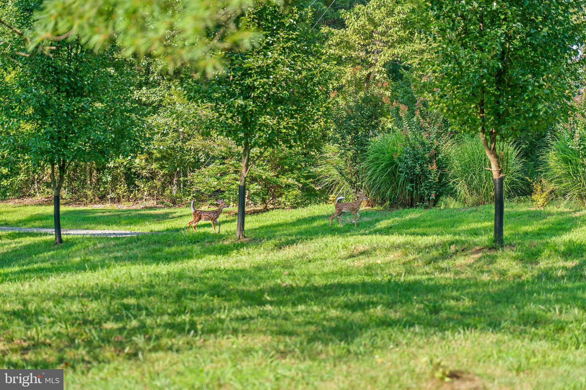 7437 Leeds Manor Road Marshall, VA 20115 - Photo 43 of 43 Gallery Image 43