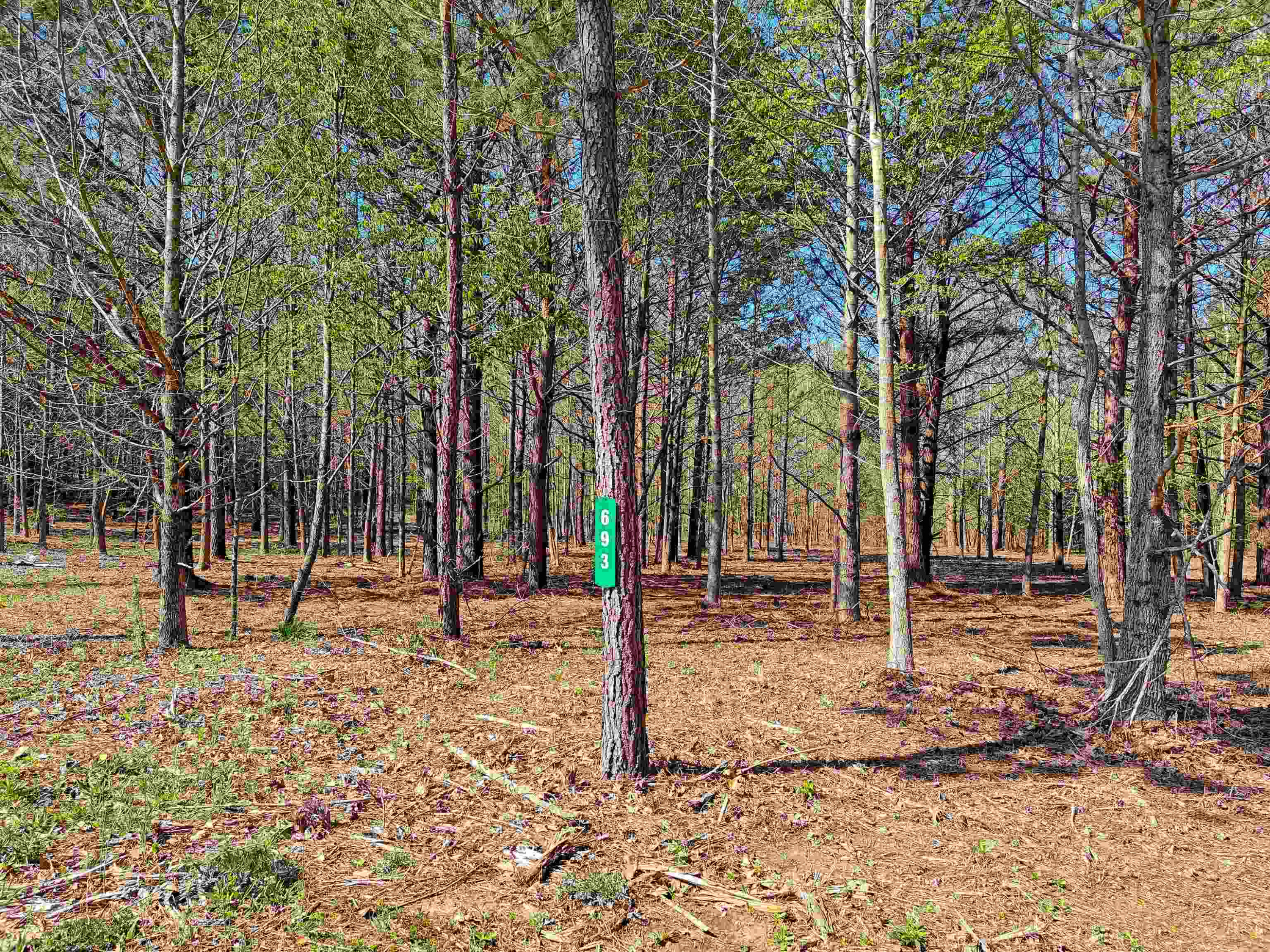 Lot 5 Lodge Road Camden, TN 38320 - Photo 13 of 15 Photo 13