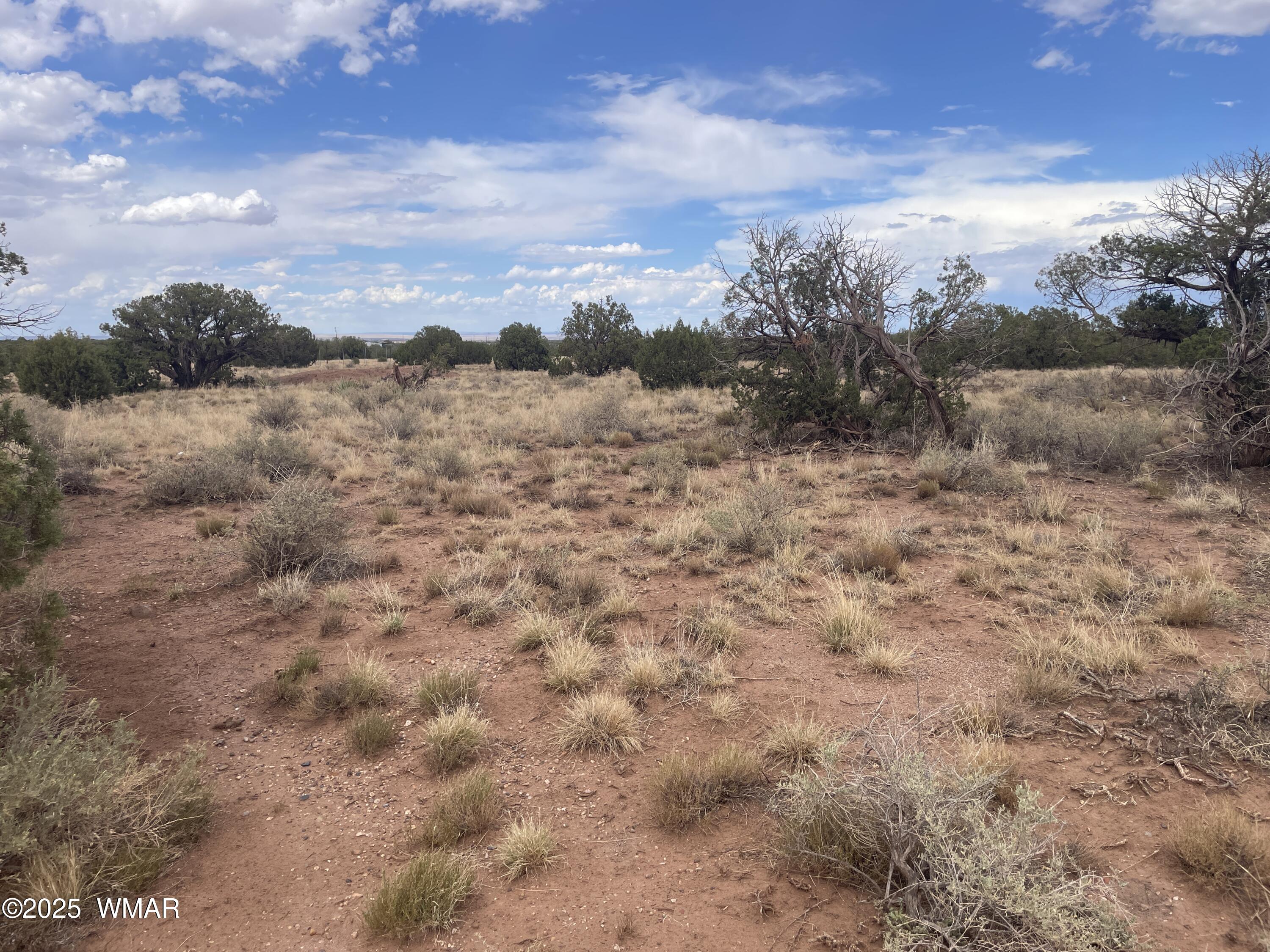 4253 Clydesdale Road Snowflake, AZ 85937 - Photo 1 of 12