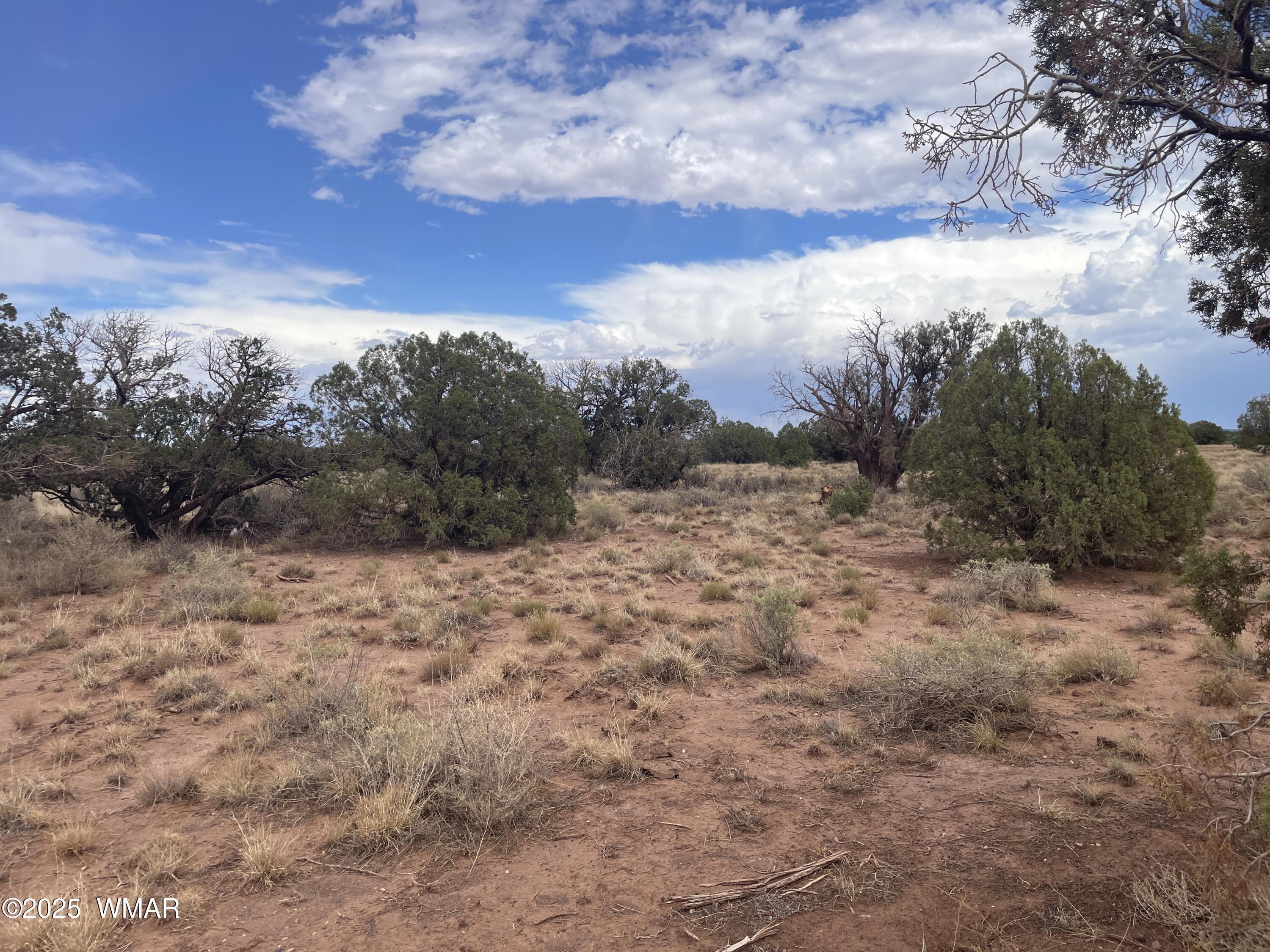 4253 Clydesdale Road Snowflake, AZ 85937 - Photo 11 of 12 a view of a yard