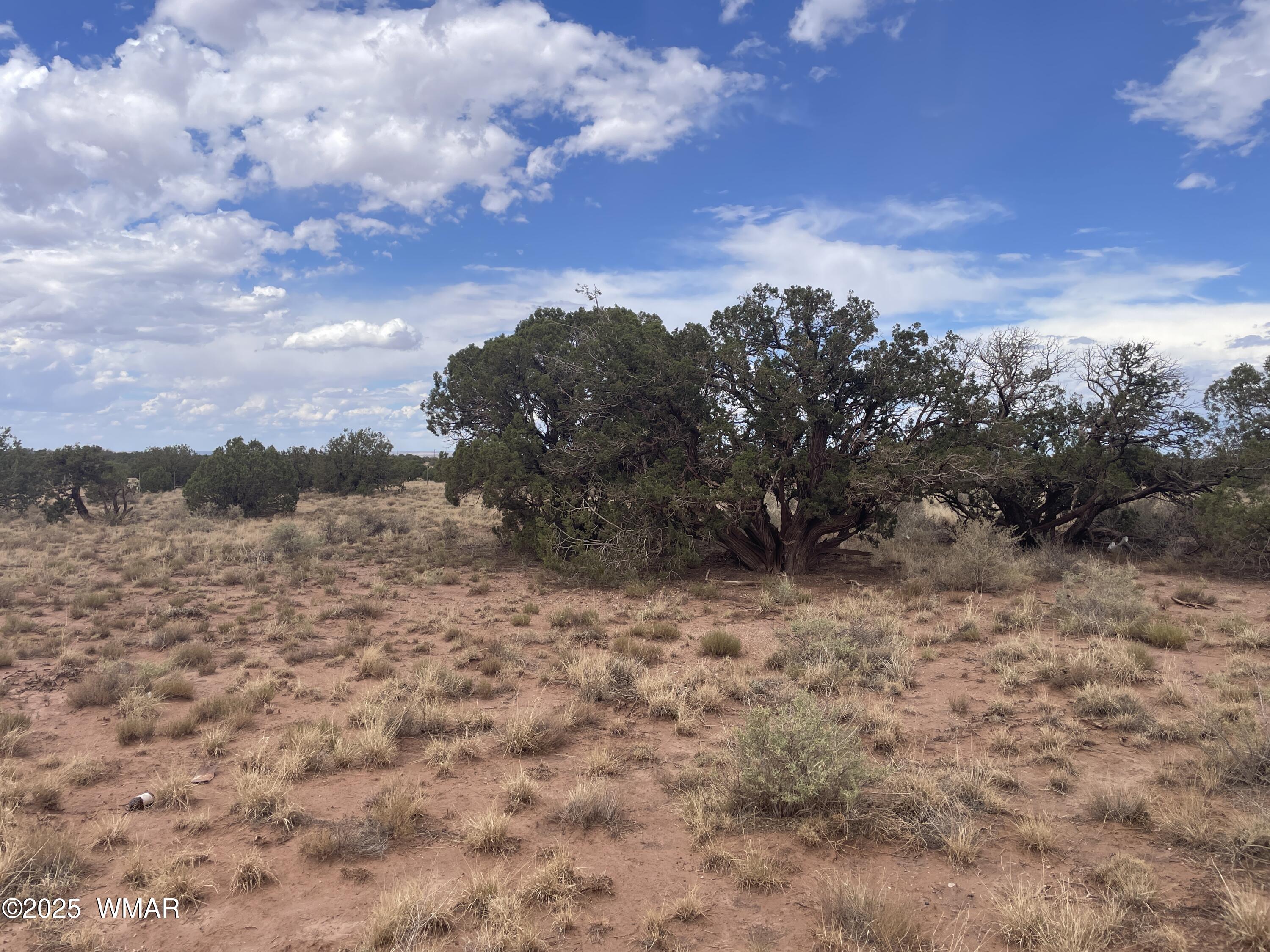4253 Clydesdale Road Snowflake, AZ 85937 - Photo 12 of 12 a view of a sky