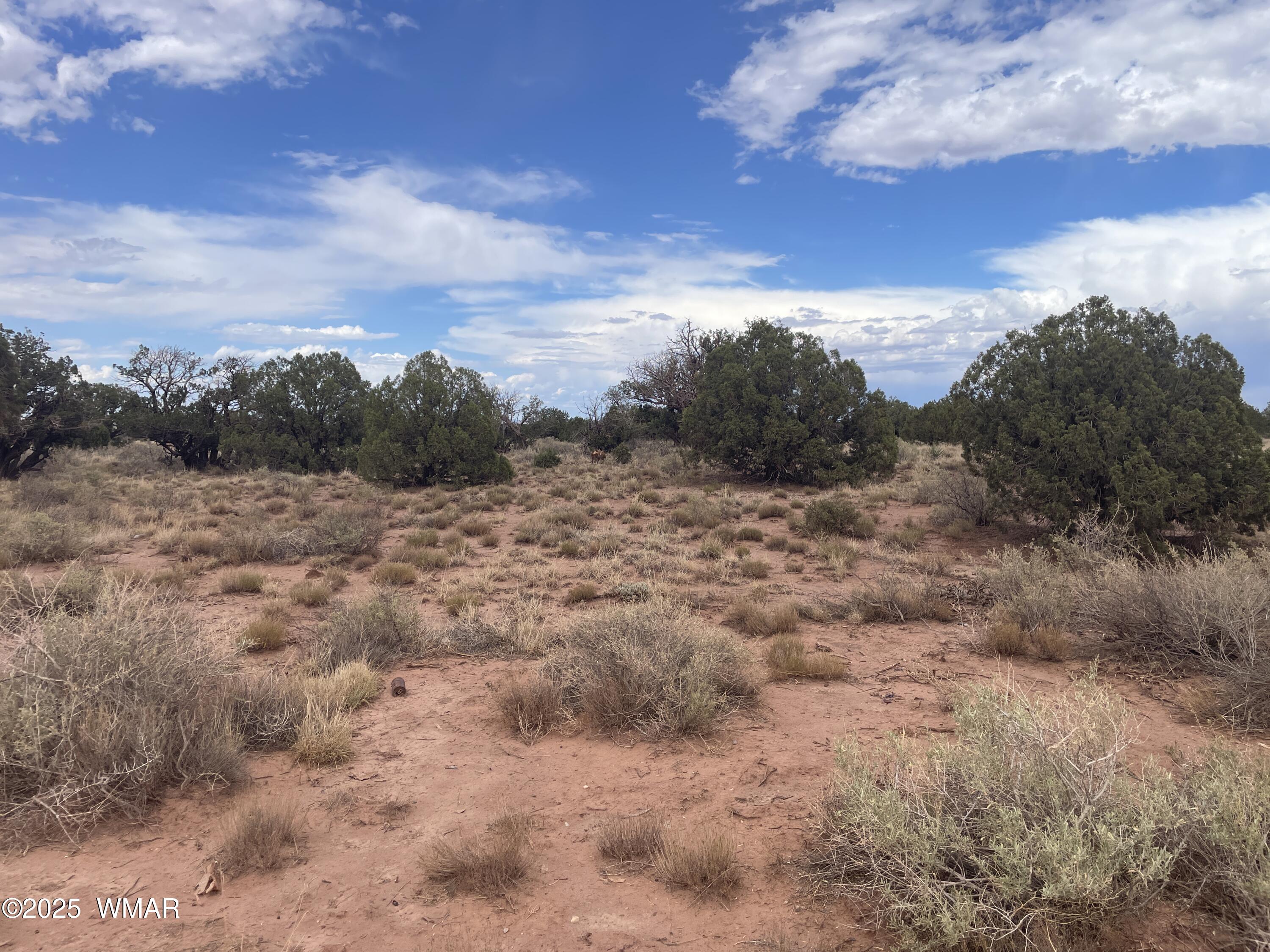 4253 Clydesdale Road Snowflake, AZ 85937 - Photo 6 of 12 a view of a field