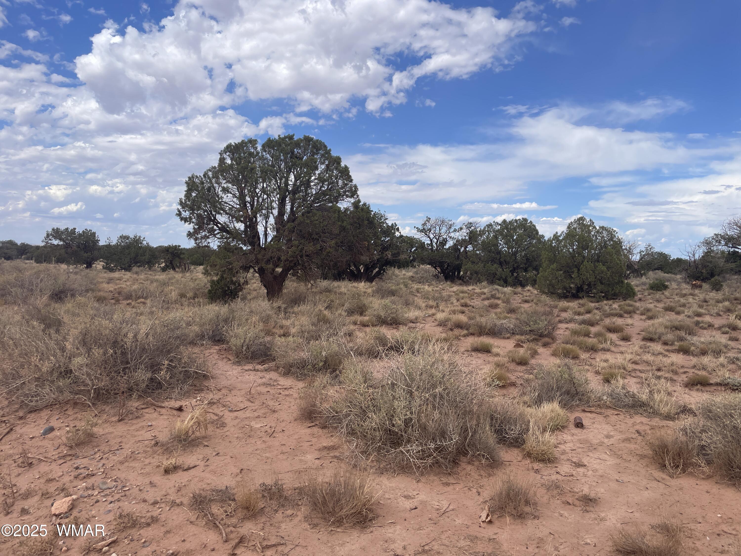 4253 Clydesdale Road Snowflake, AZ 85937 - Photo 10 of 12 a view of a dry yard