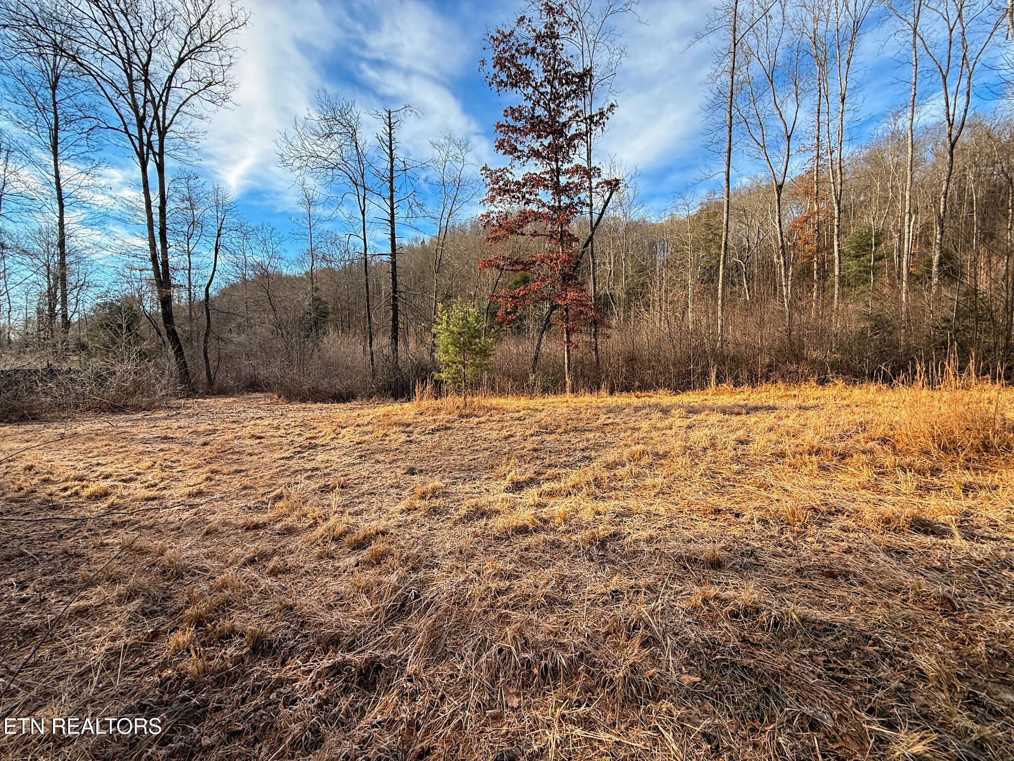 915 Al Goss Road Crossville, TN 38571 - Photo 18 of 60 10