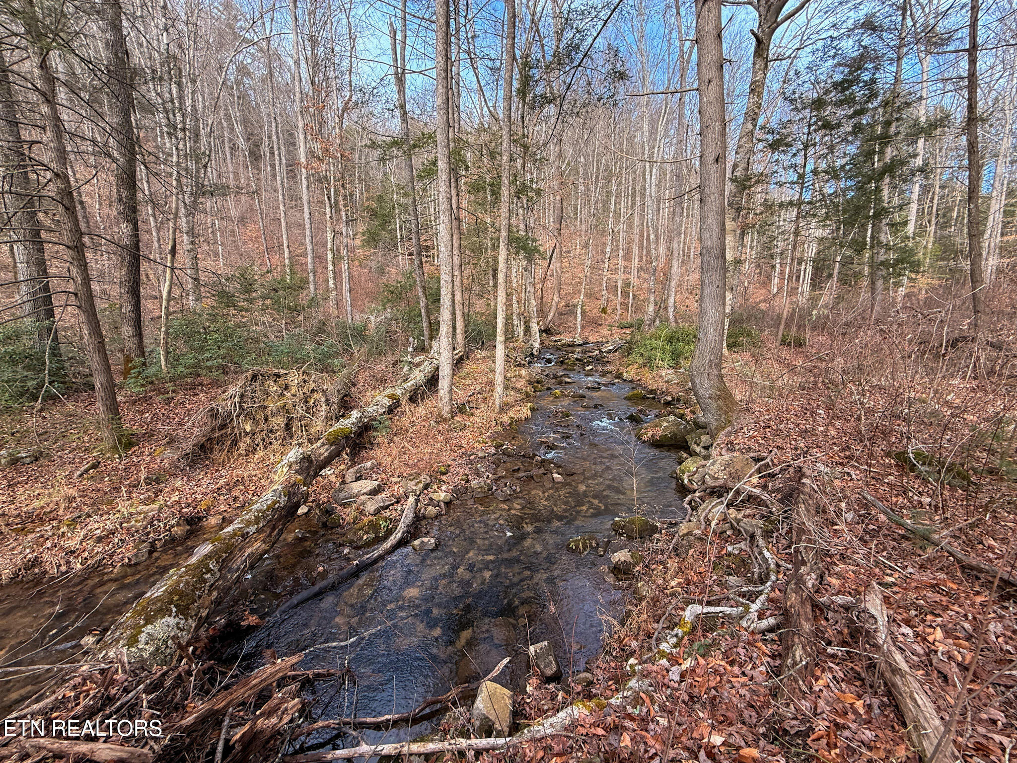 915 Al Goss Road Crossville, TN 38571 - Photo 37 of 60 29