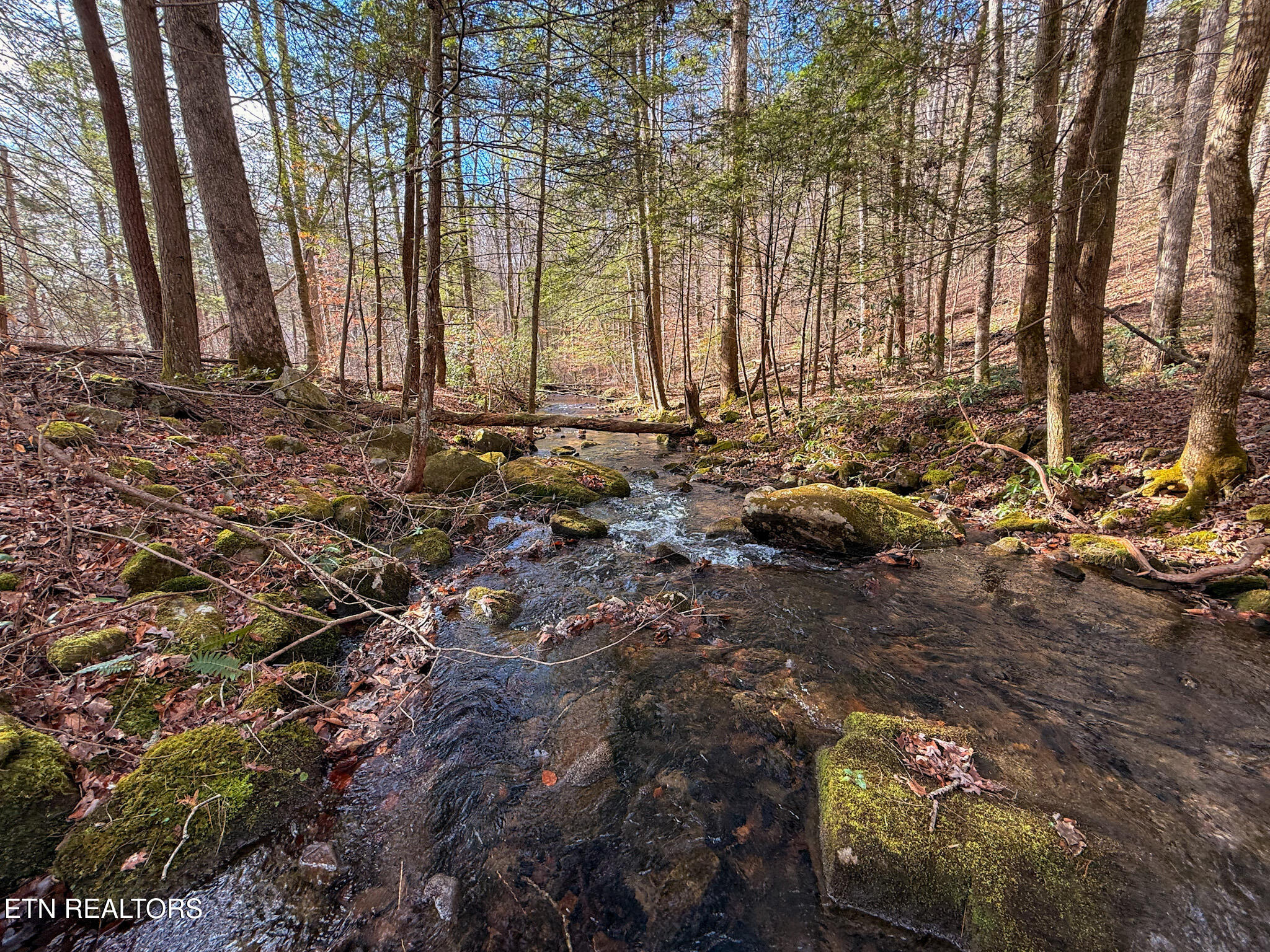915 Al Goss Road Crossville, TN 38571 - Photo 46 of 60 40