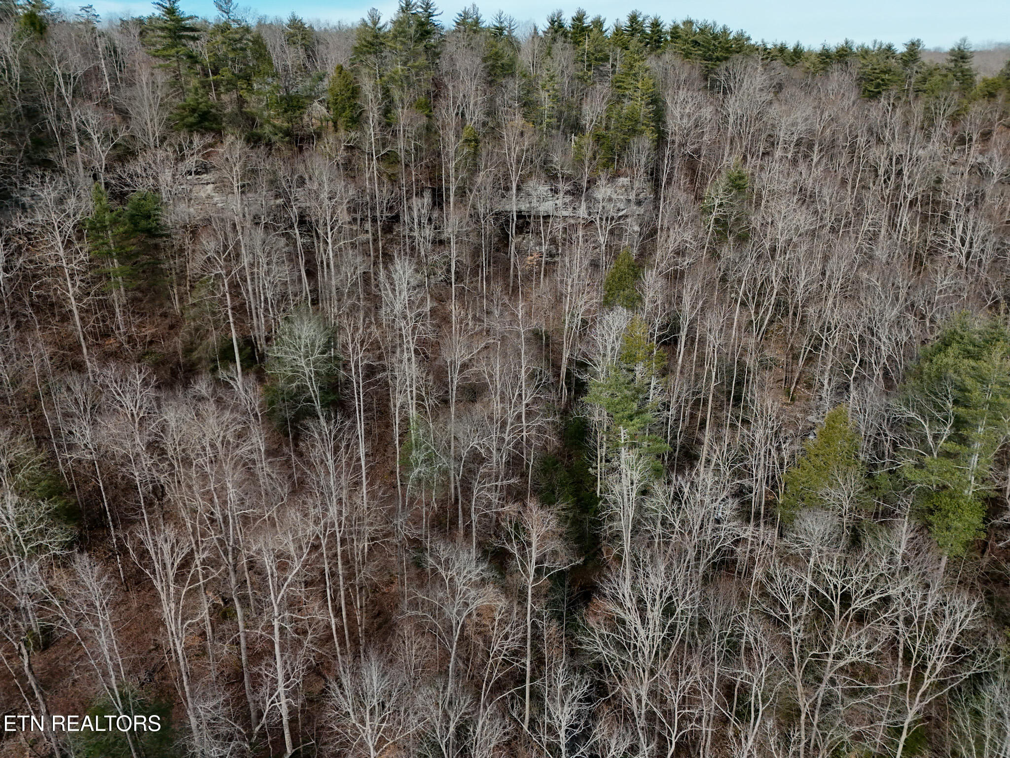 915 Al Goss Road Crossville, TN 38571 - Photo 53 of 60 46