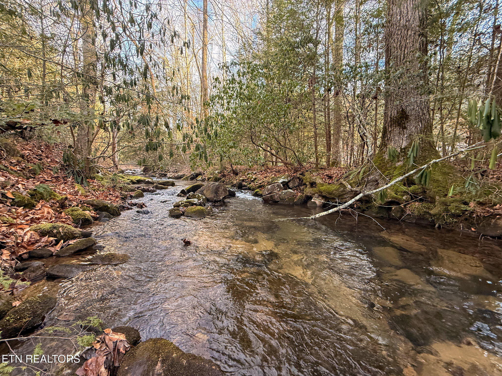 915 Al Goss Road Crossville, TN 38571 - Photo 9 of 60 4-3