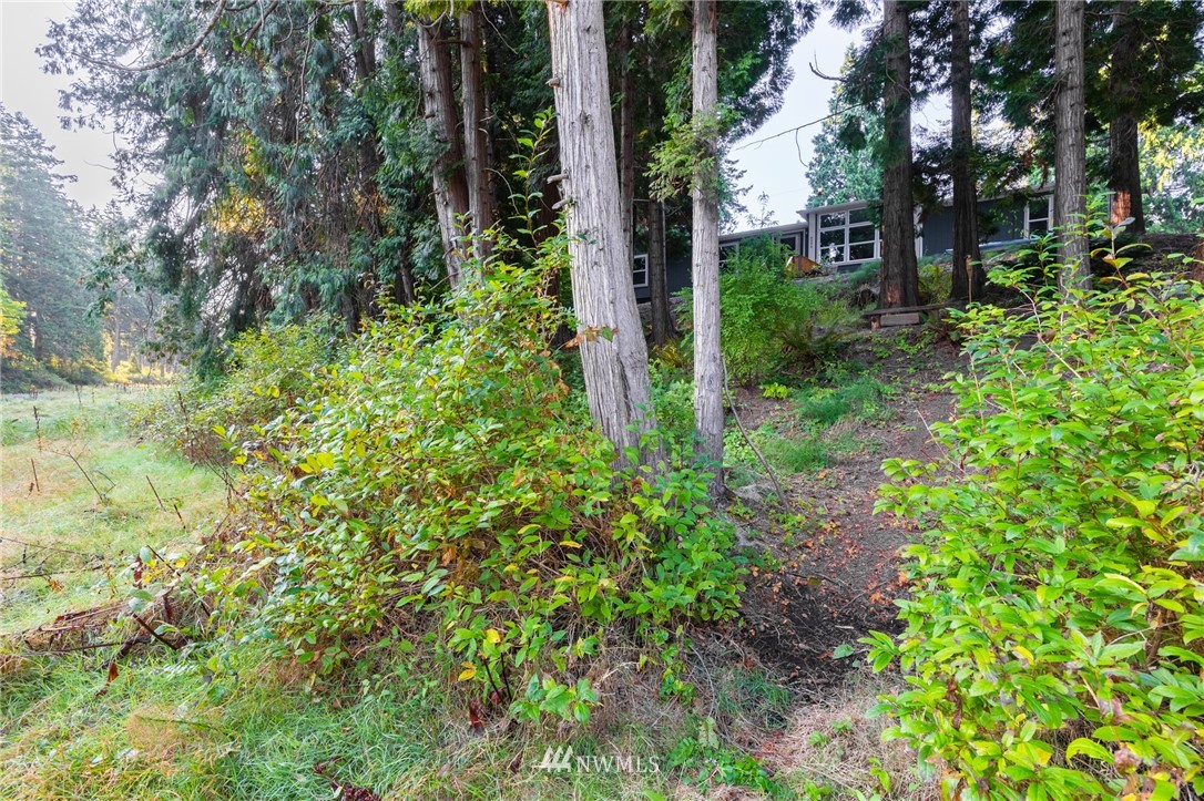 8394 Kickerville Road Custer, WA 98240 - Photo 8 of 40