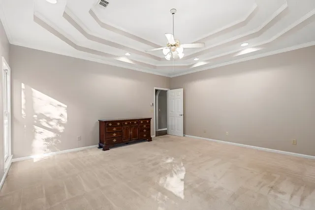 a view of a garden with plants and large trees