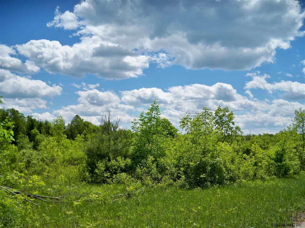0 Consaul Road Amsterdam, NY 12010 - Photo 3 of 24 Photo 3
