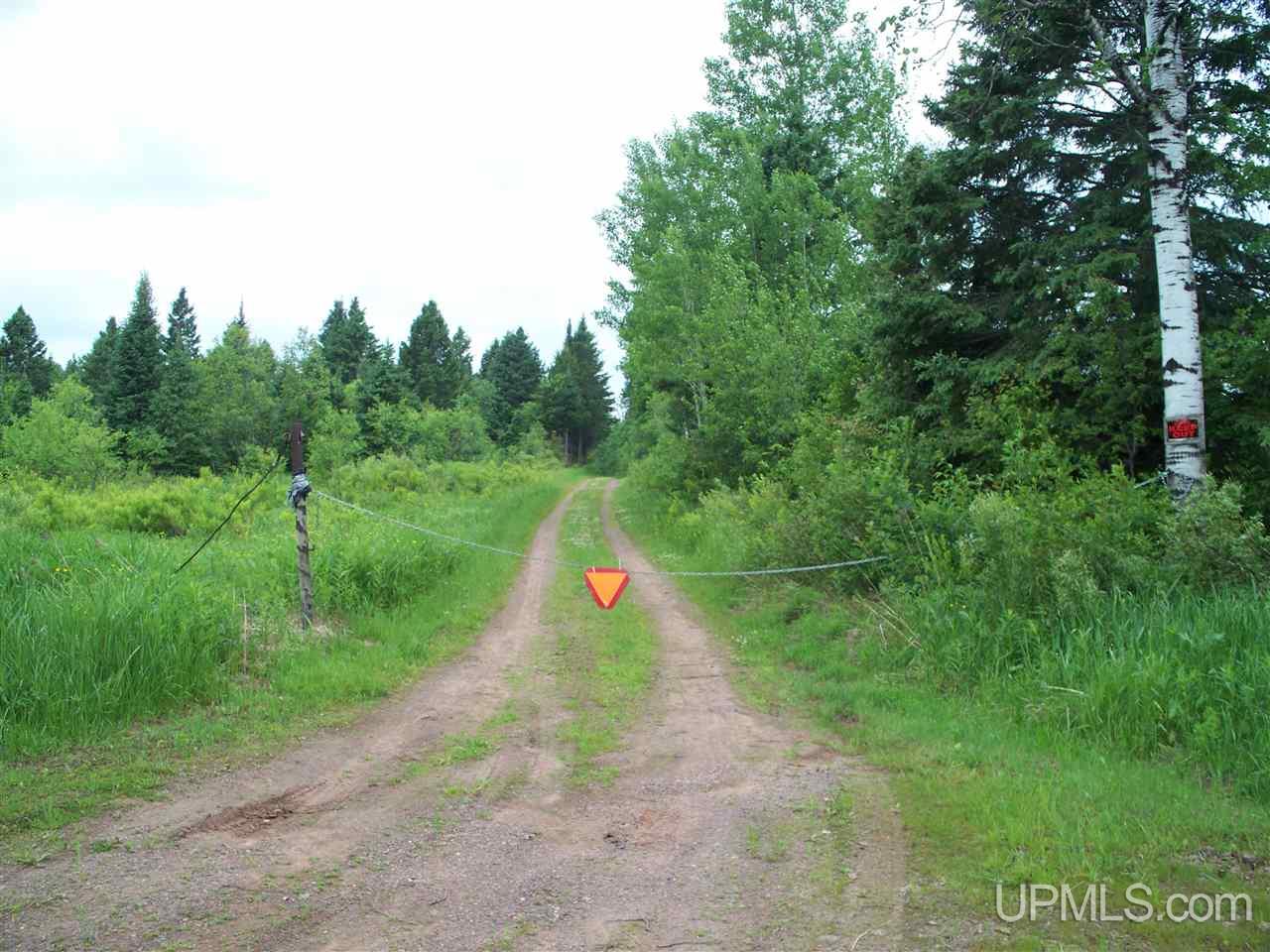 Tbd Jack Spur Road Wakefield, MI 49968 - Photo 26 of 27 Gallery Image 26
