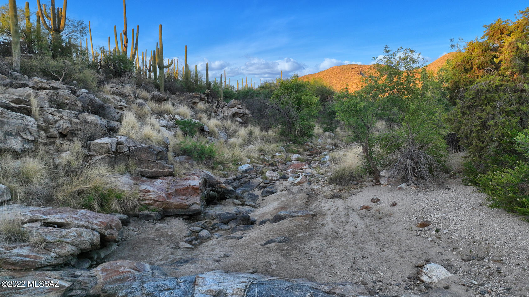 14770 East Redington Road Tucson, AZ 85749 - Photo 24 of 31