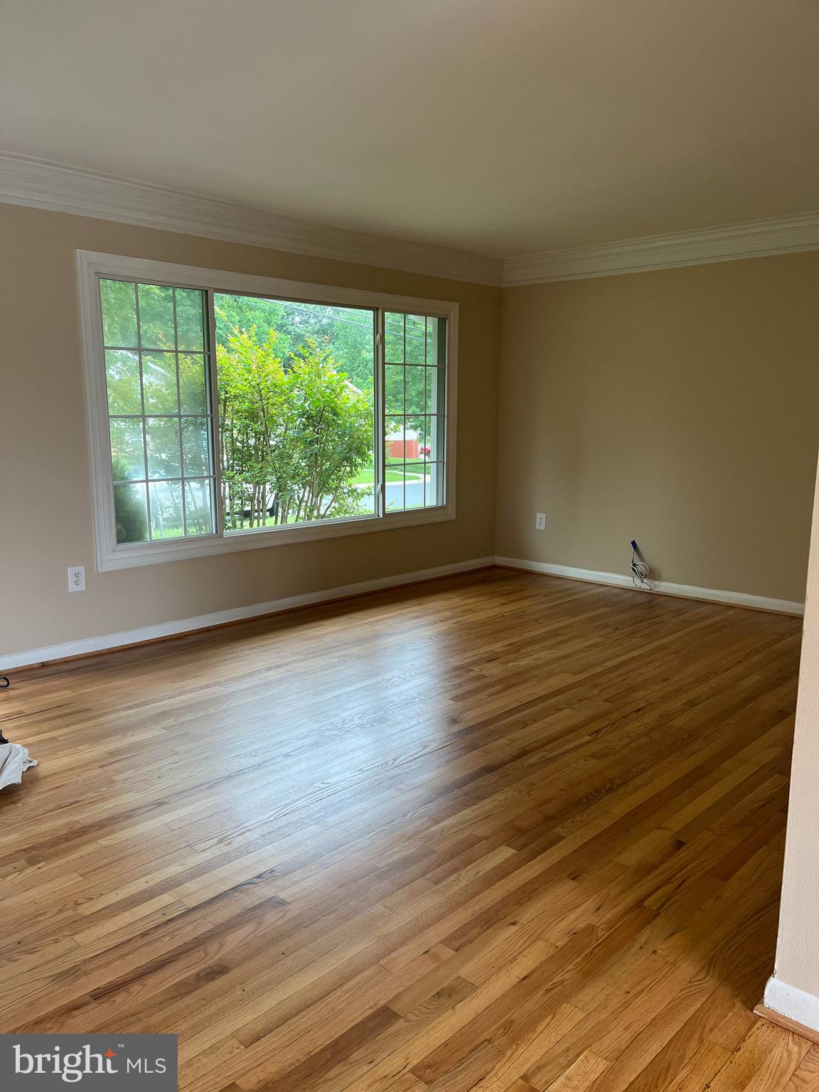 4105 Isbell Street Silver Spring, MD 20906 - Photo 8 of 19 a view of an empty room with wooden floor and a window