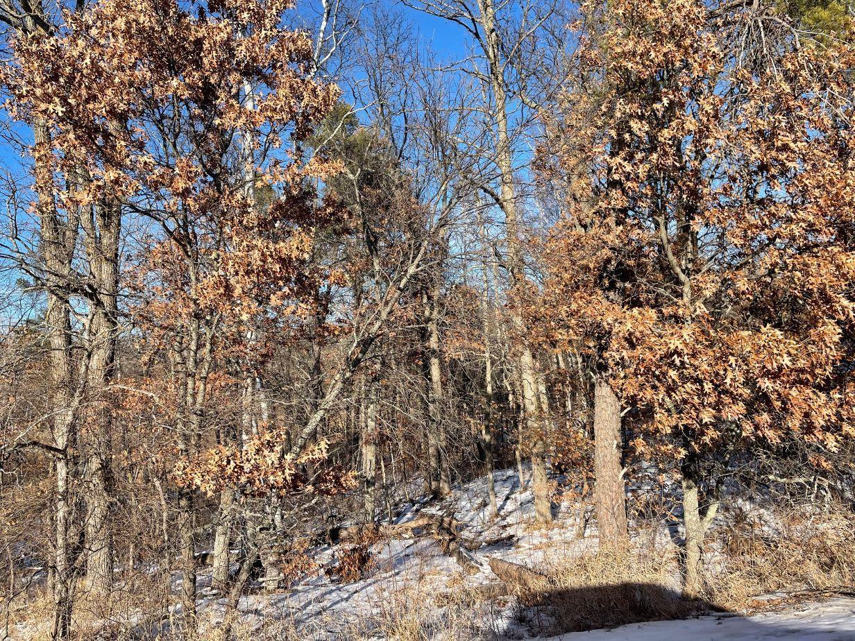 Xxx 3rd Street Breezy Point, MN 56472 - Photo 11 of 16