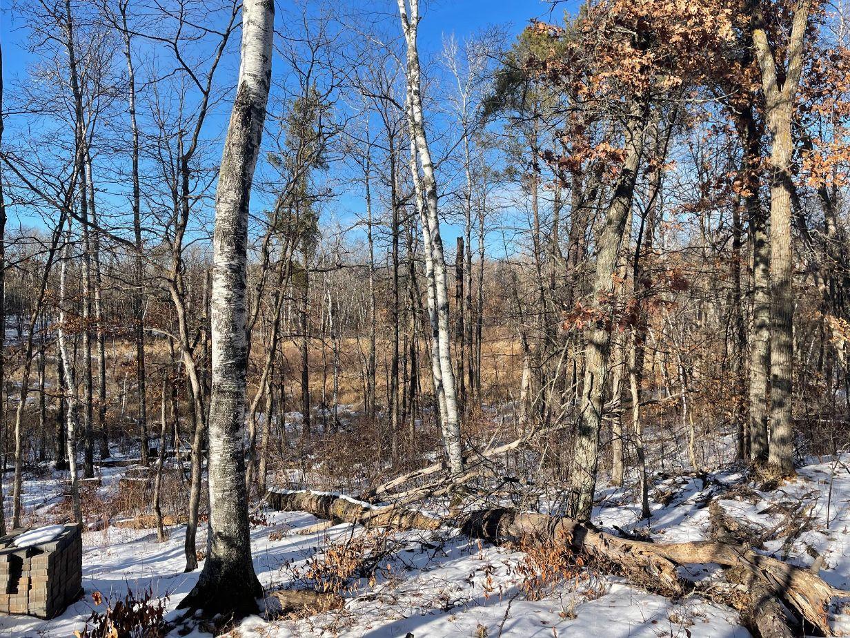 Xxx 3rd Street Breezy Point, MN 56472 - Photo 13 of 16