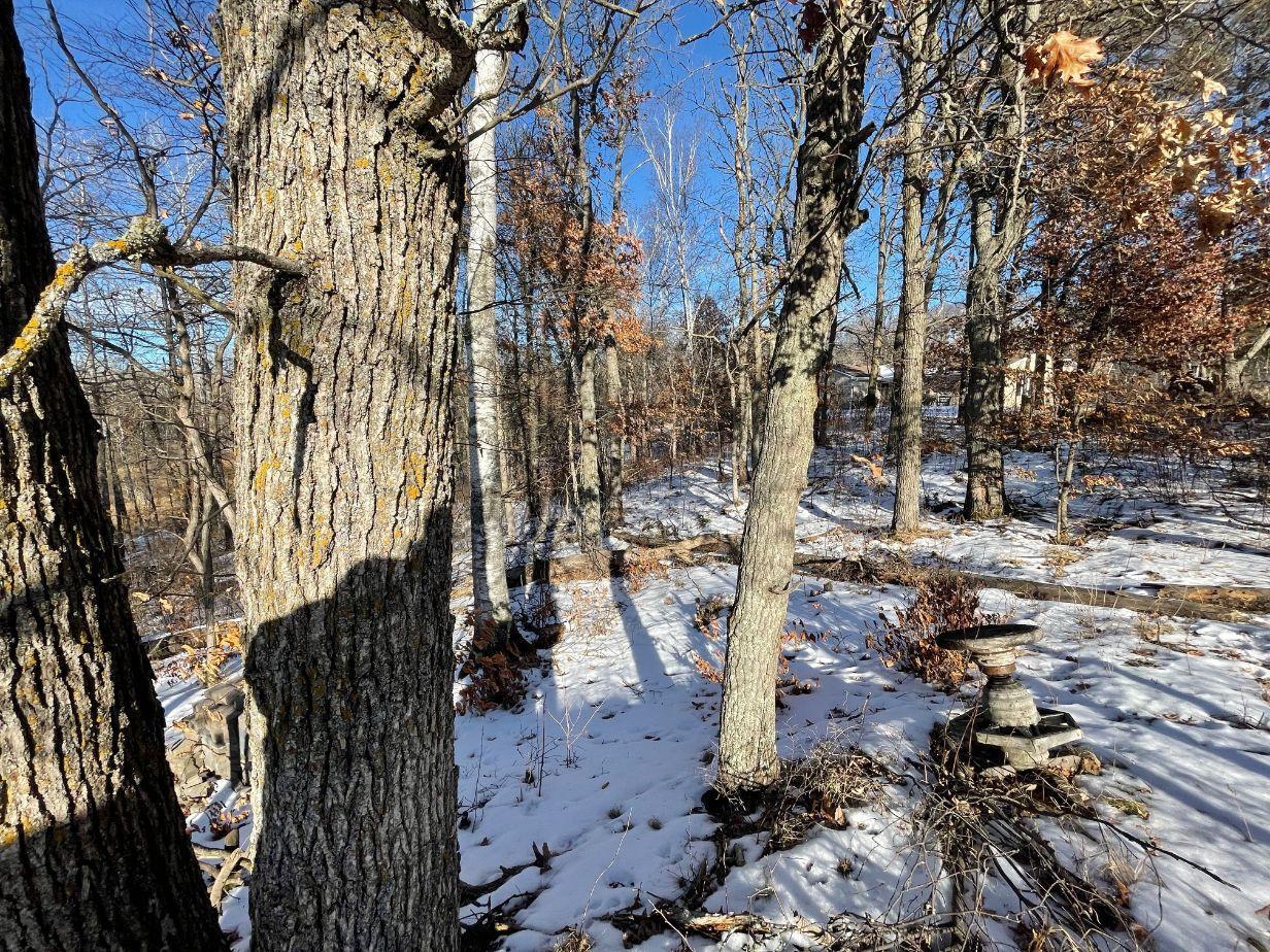 Xxx 3rd Street Breezy Point, MN 56472 - Photo 3 of 16