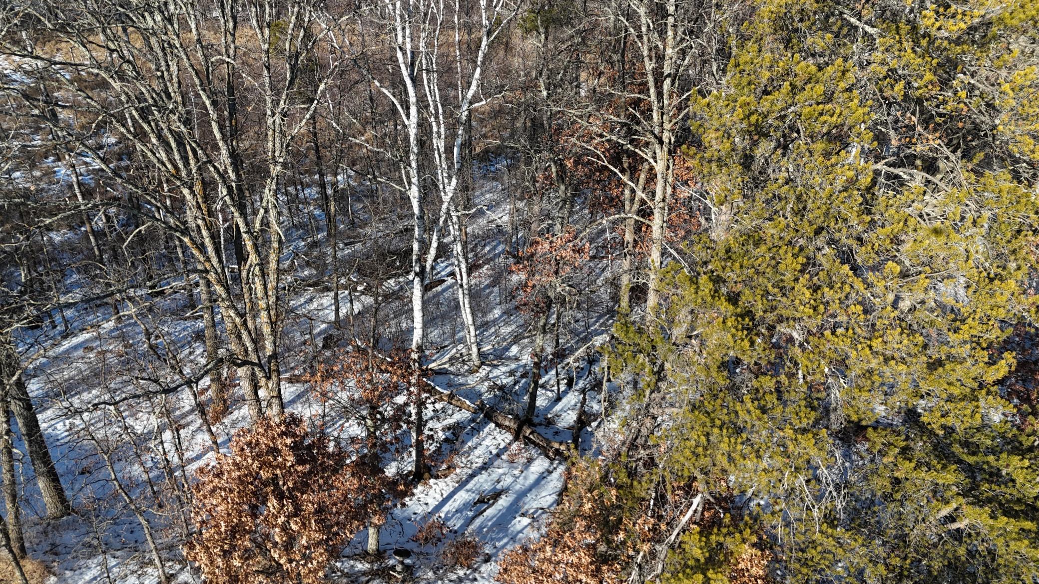 Xxx 3rd Street Breezy Point, MN 56472 - Photo 8 of 16