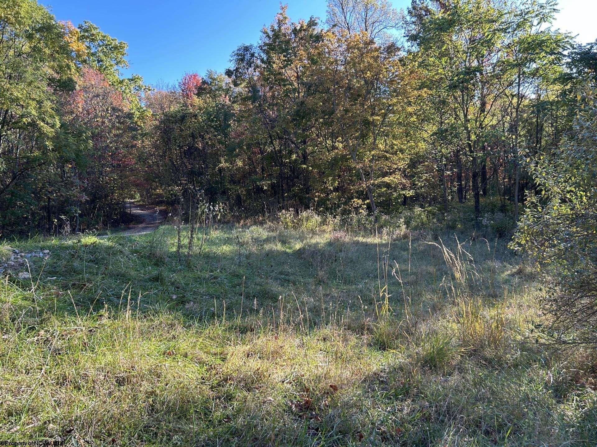 Tbd Crane School Road Albright, WV 26519 - Photo 4 of 11 Gallery Image 4