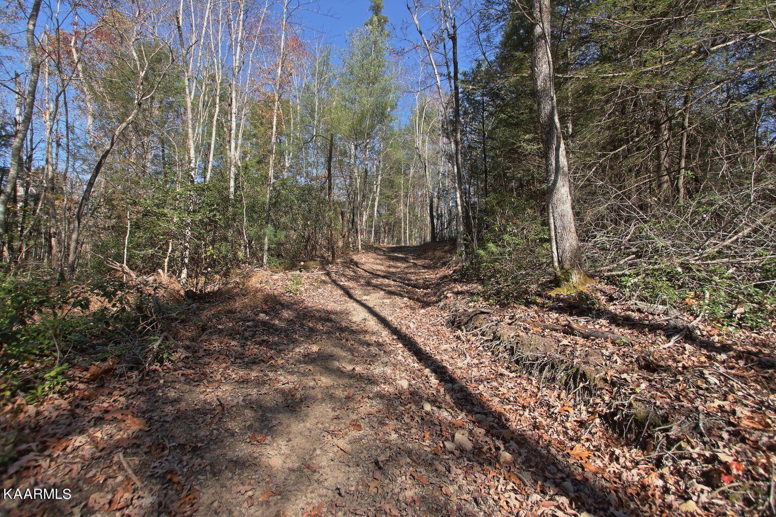 Lot 2 Cole Place Road Allardt, TN 38504 - Photo 3 of 7 horse trail