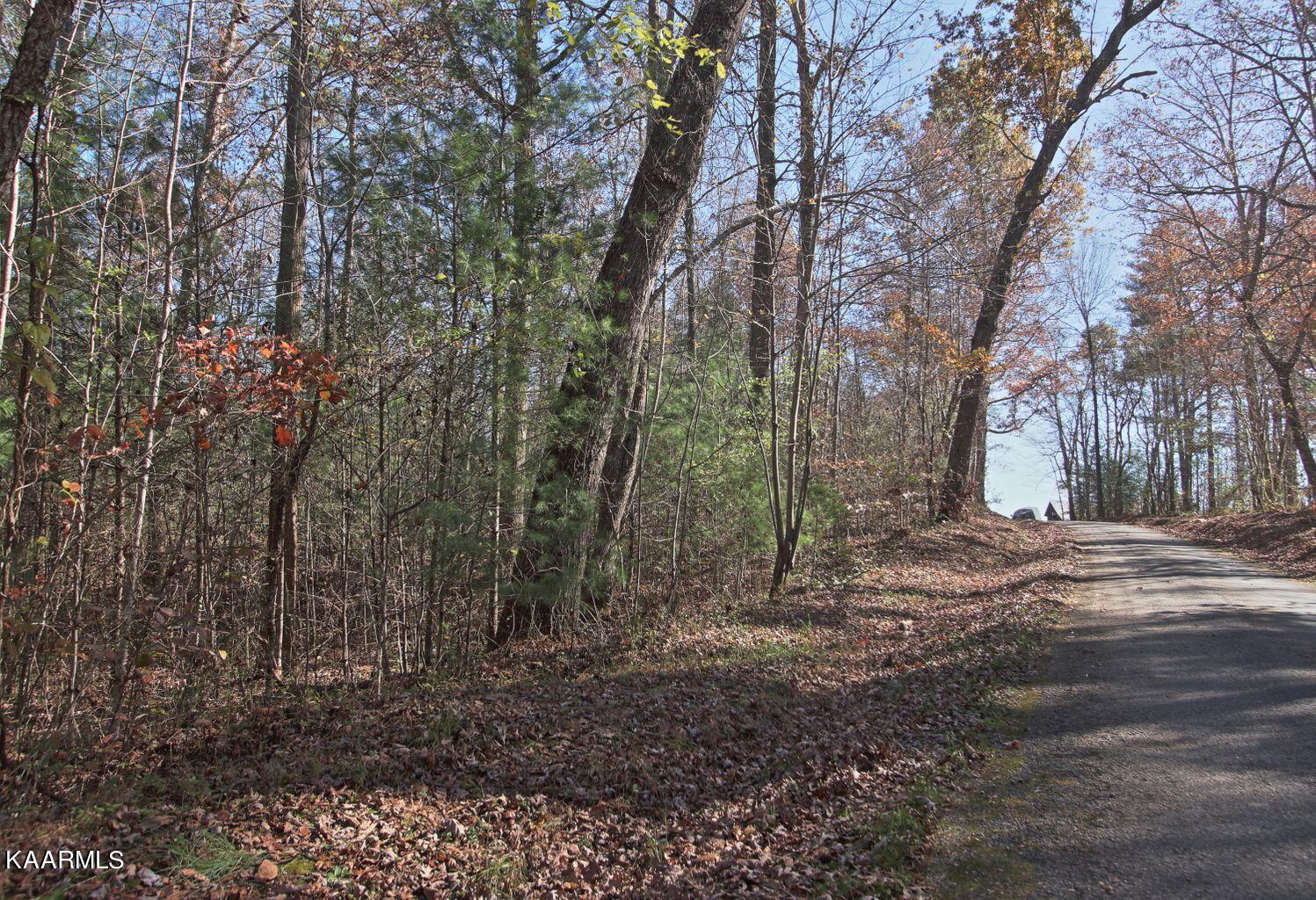 Lot 2 Cole Place Road Allardt, TN 38504 - Photo 4 of 7 lot 2 road view