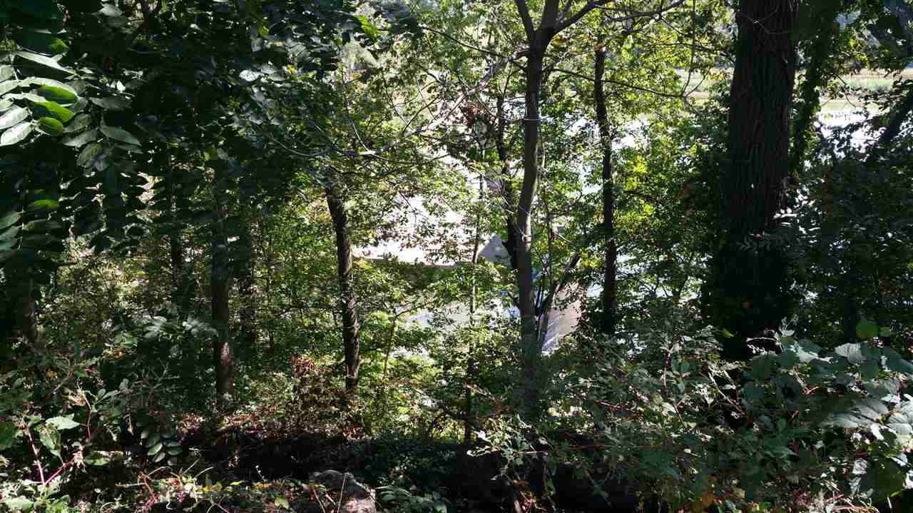 0 Filter Plant Road Franklin, KY 42134 - Photo 3 of 7 Gallery Image 3