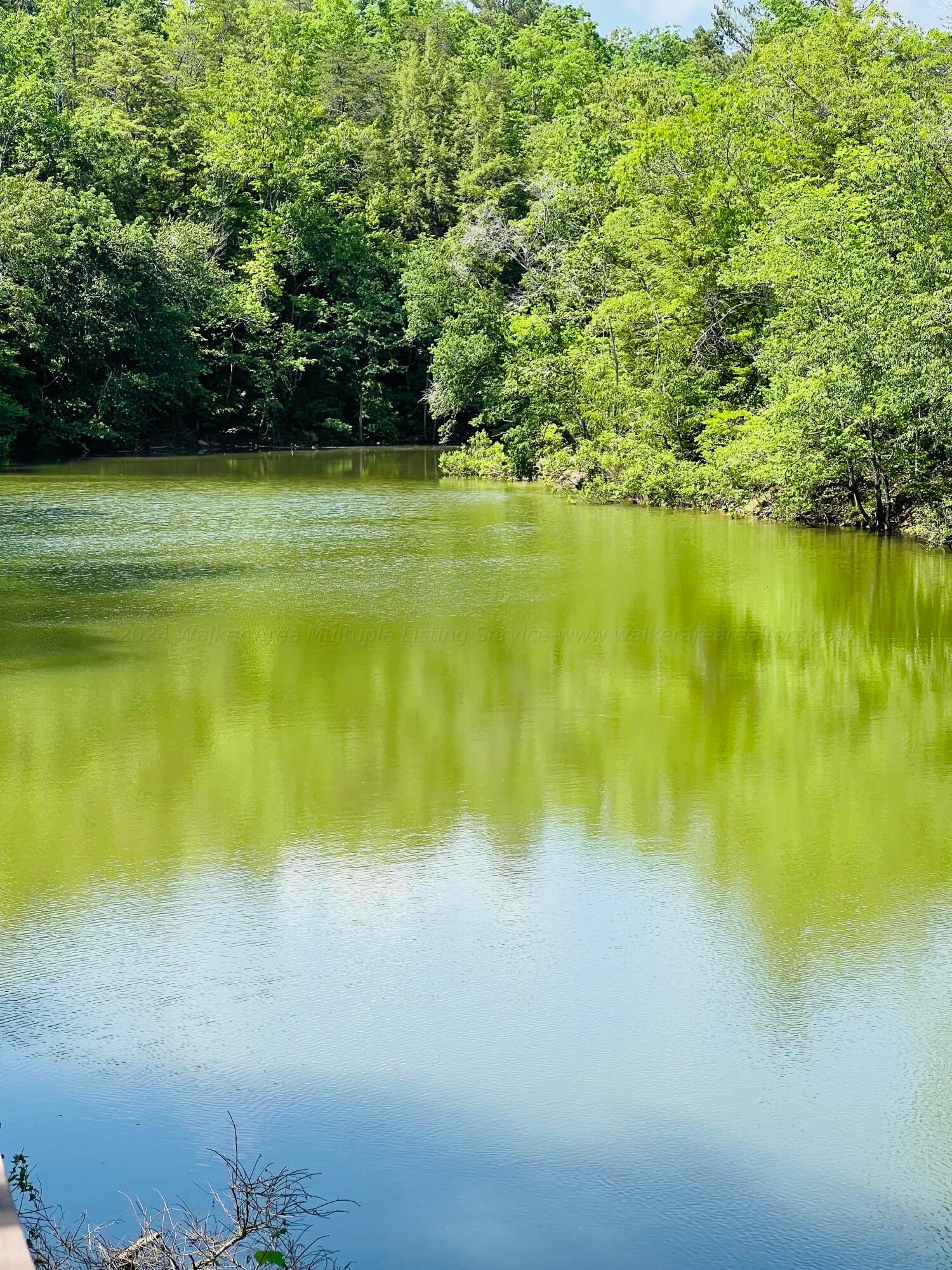 Jim Davis Road Arley, AL 35541 - Photo 2 of 23 Gallery Image 2