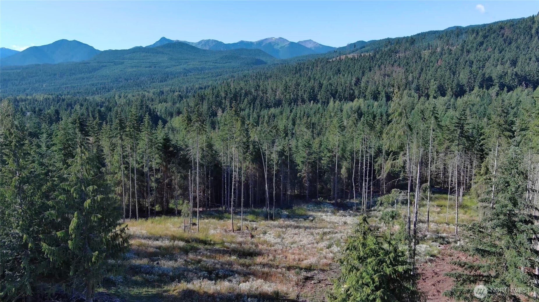 352 X Lost Mountain Road Sequim, WA 98382 - Photo 16 of 29 Gallery Image 16