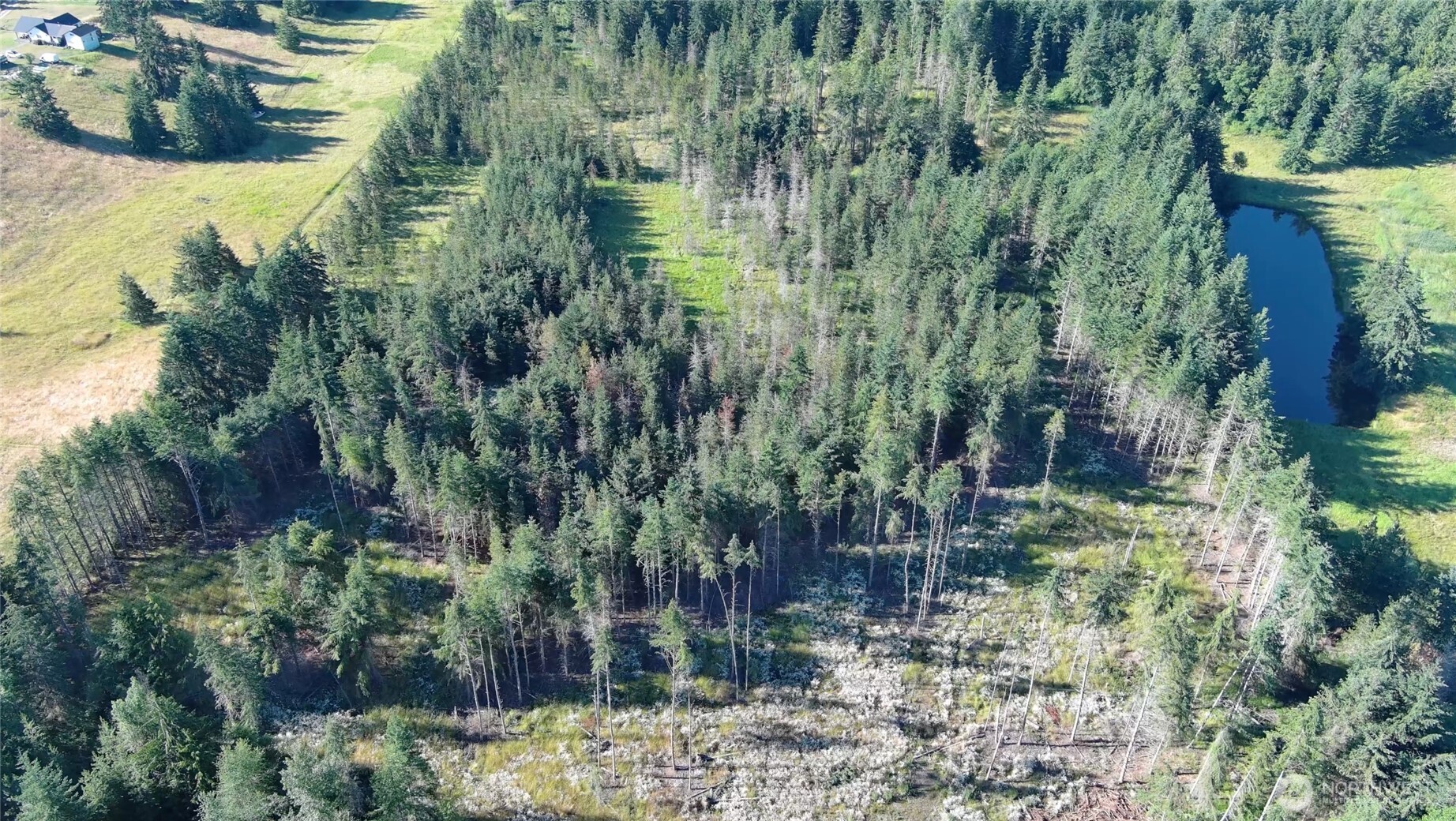 352 X Lost Mountain Road Sequim, WA 98382 - Photo 19 of 29 Gallery Image 19