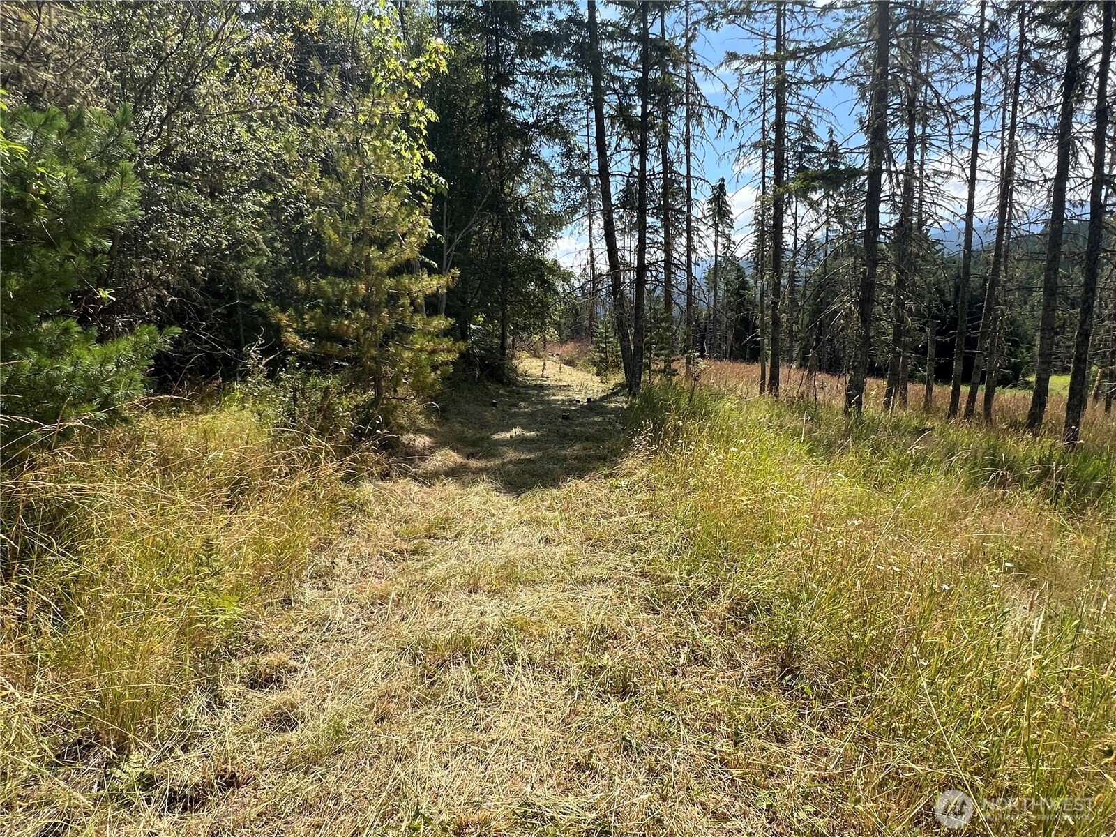 352 X Lost Mountain Road Sequim, WA 98382 - Photo 21 of 29 Gallery Image 21
