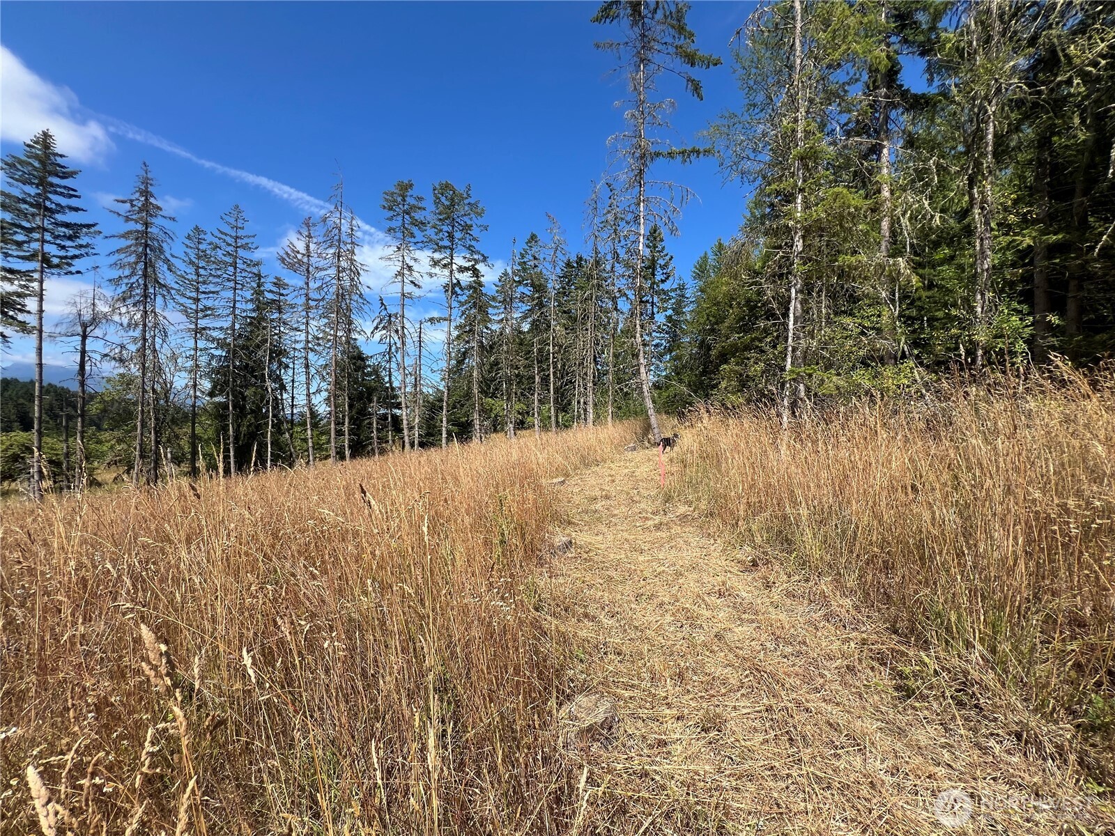 352 X Lost Mountain Road Sequim, WA 98382 - Photo 22 of 29 Gallery Image 22