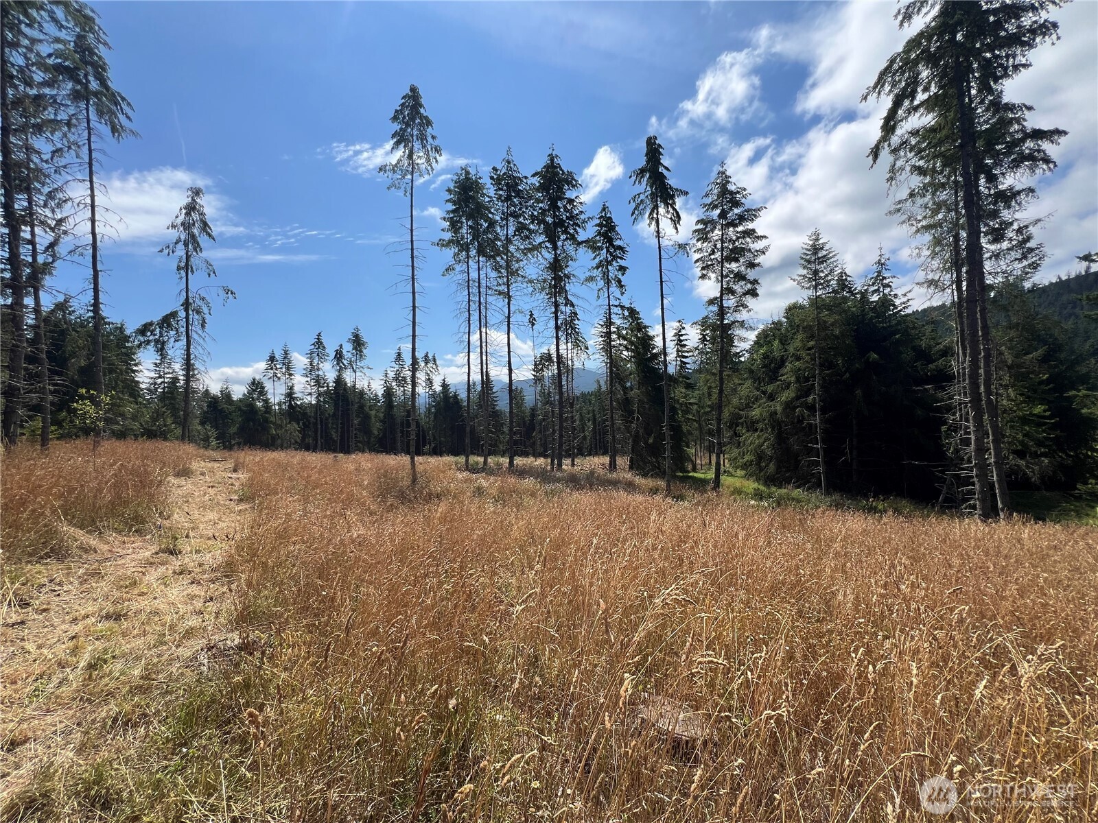 352 X Lost Mountain Road Sequim, WA 98382 - Photo 23 of 29 Gallery Image 23