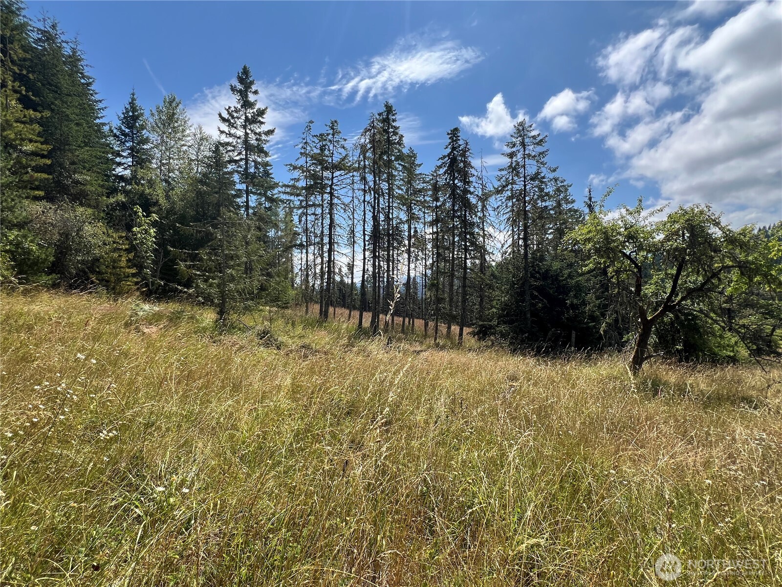 352 X Lost Mountain Road Sequim, WA 98382 - Photo 24 of 29 Gallery Image 24