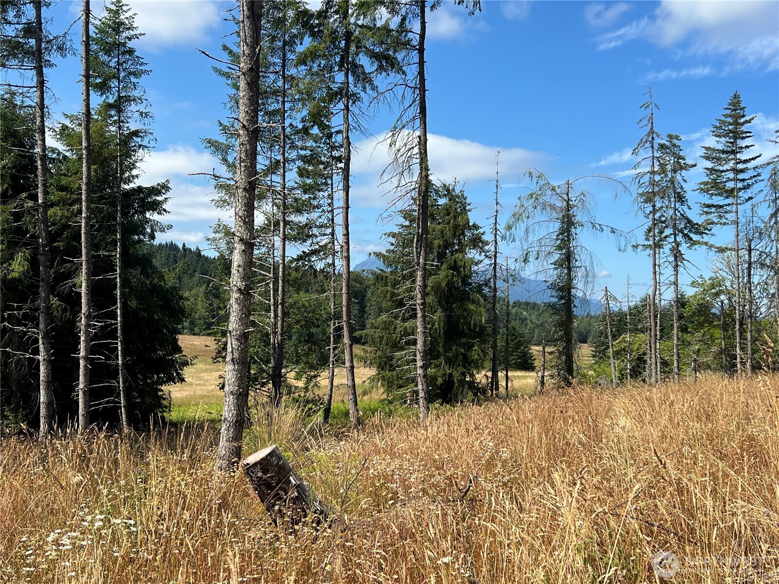352 X Lost Mountain Road Sequim, WA 98382 - Photo 26 of 29 Gallery Image 26