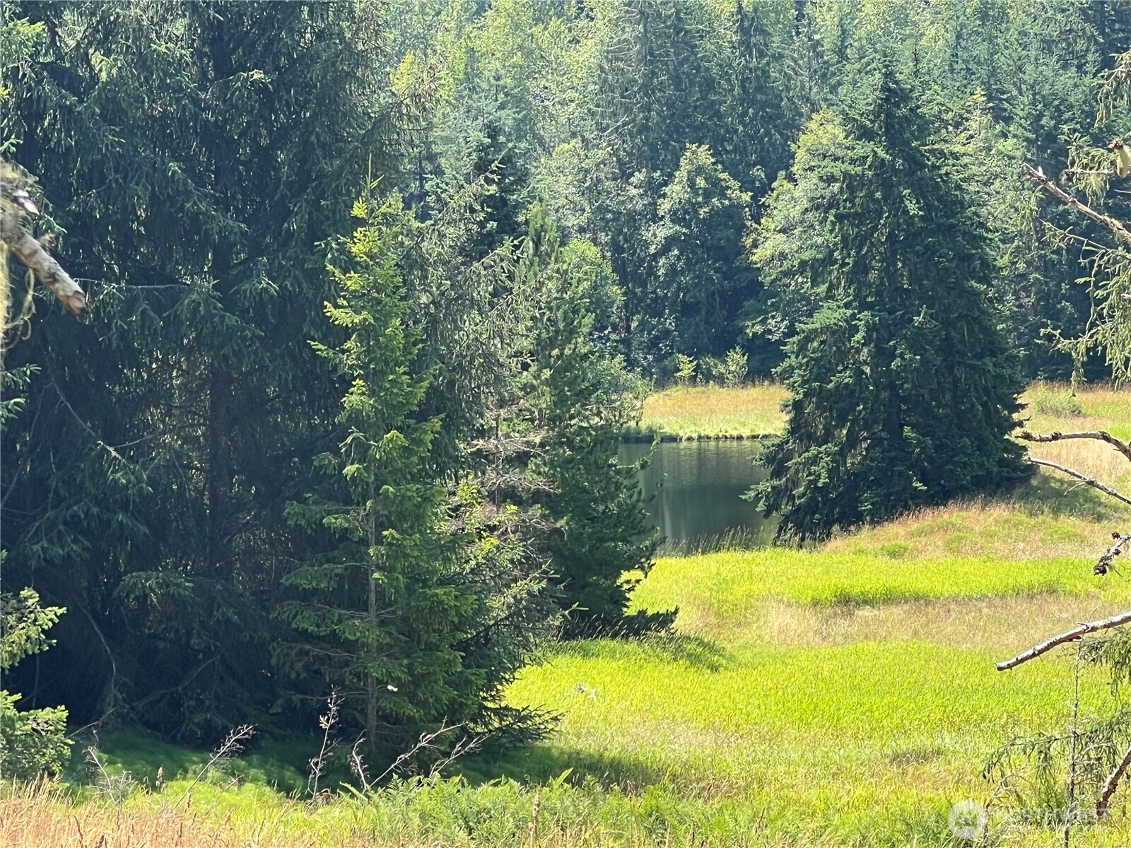 352 X Lost Mountain Road Sequim, WA 98382 - Photo 4 of 29 Gallery Image 4