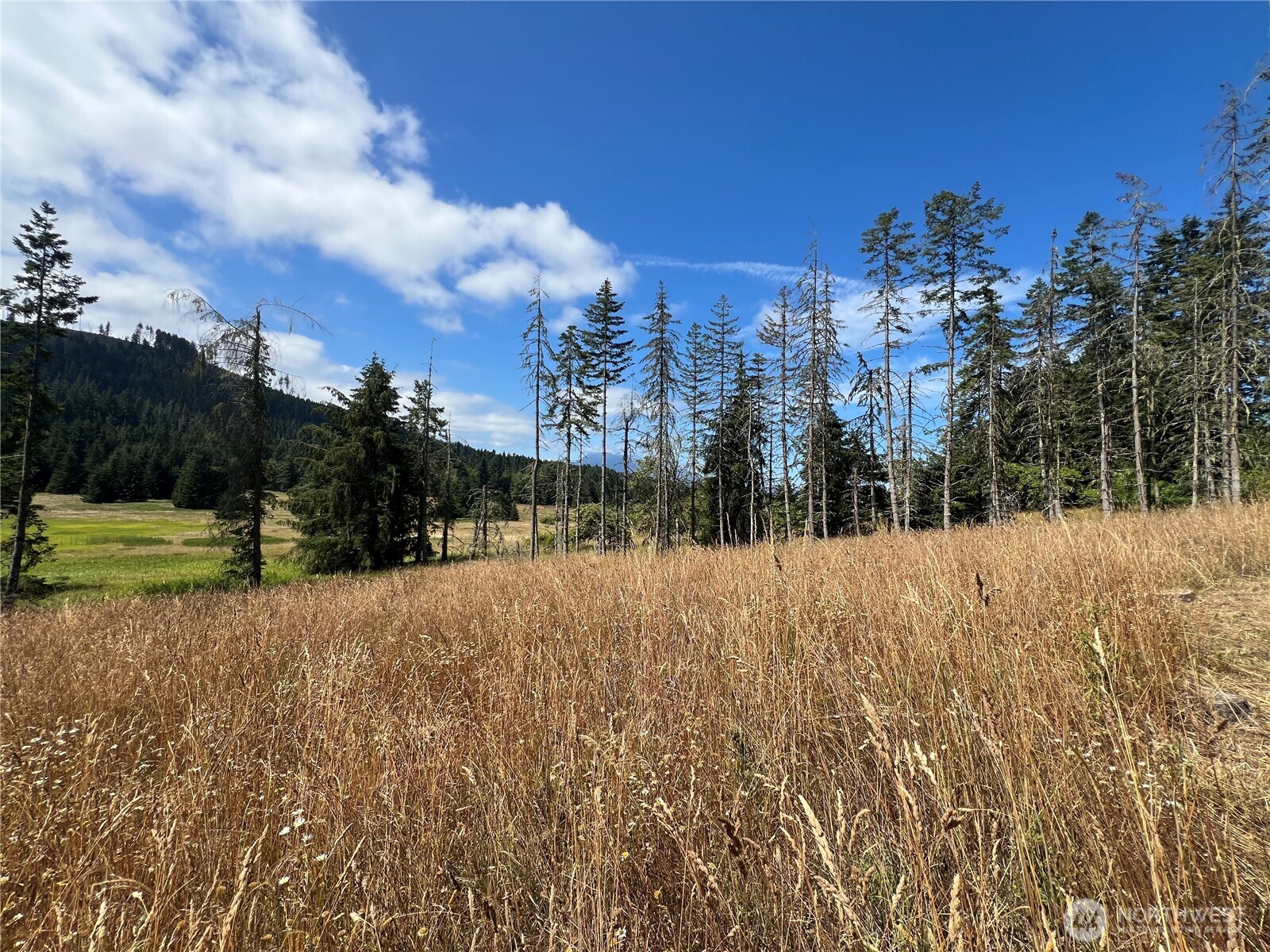 352 X Lost Mountain Road Sequim, WA 98382 - Photo 6 of 29 Gallery Image 6