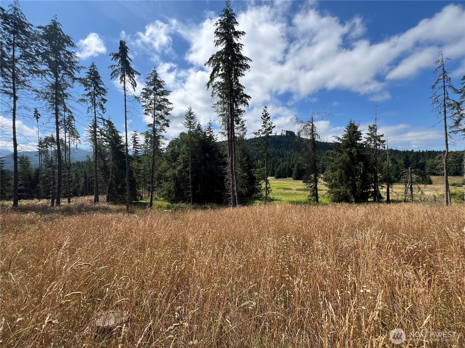 352 X Lost Mountain Road Sequim, WA 98382 - Photo 7 of 29 Gallery Image 7