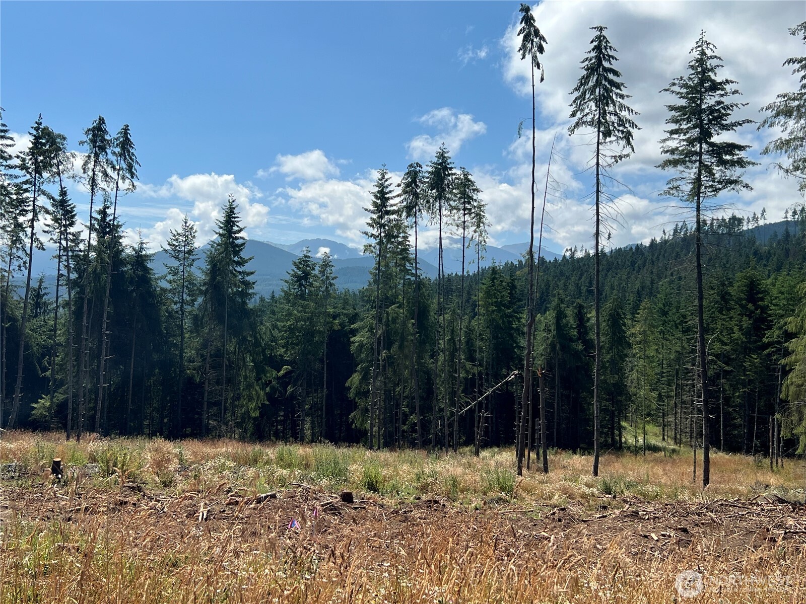 352 X Lost Mountain Road Sequim, WA 98382 - Photo 8 of 29 Gallery Image 8